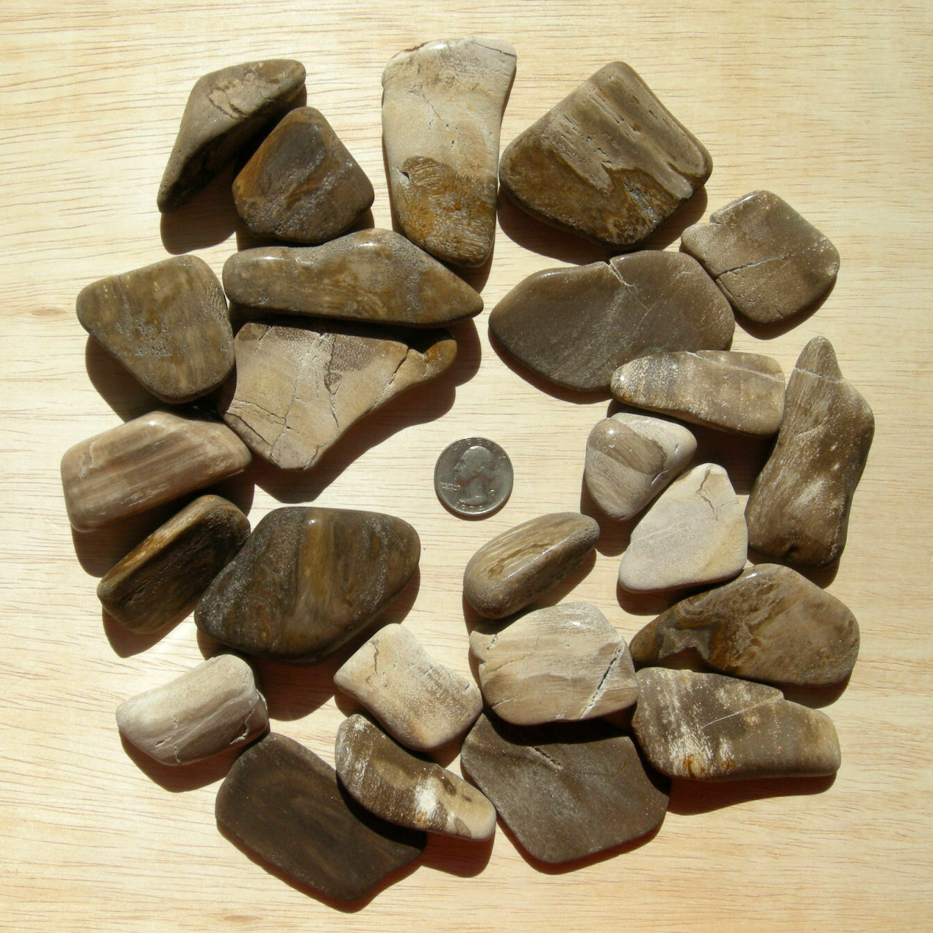 2LB Lot Petrified Wood Stones & Slices Mixed Tumbled Natural Rocks Not Polished