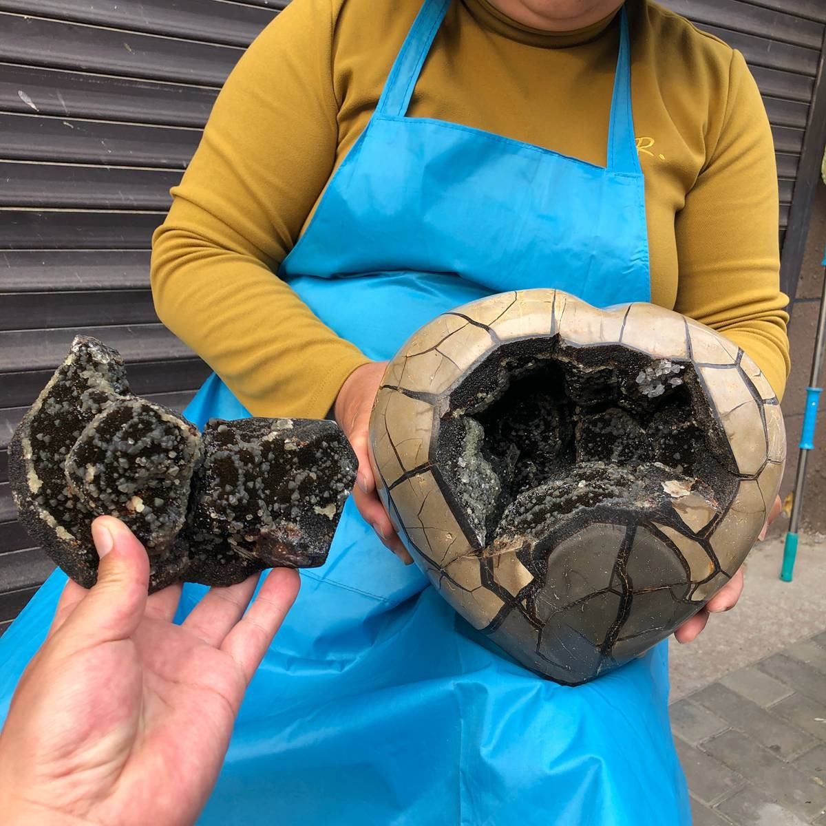 10.9KG Natural Turtle Back Stone Dragon Crystal Cave Crack Gem Healing 4355