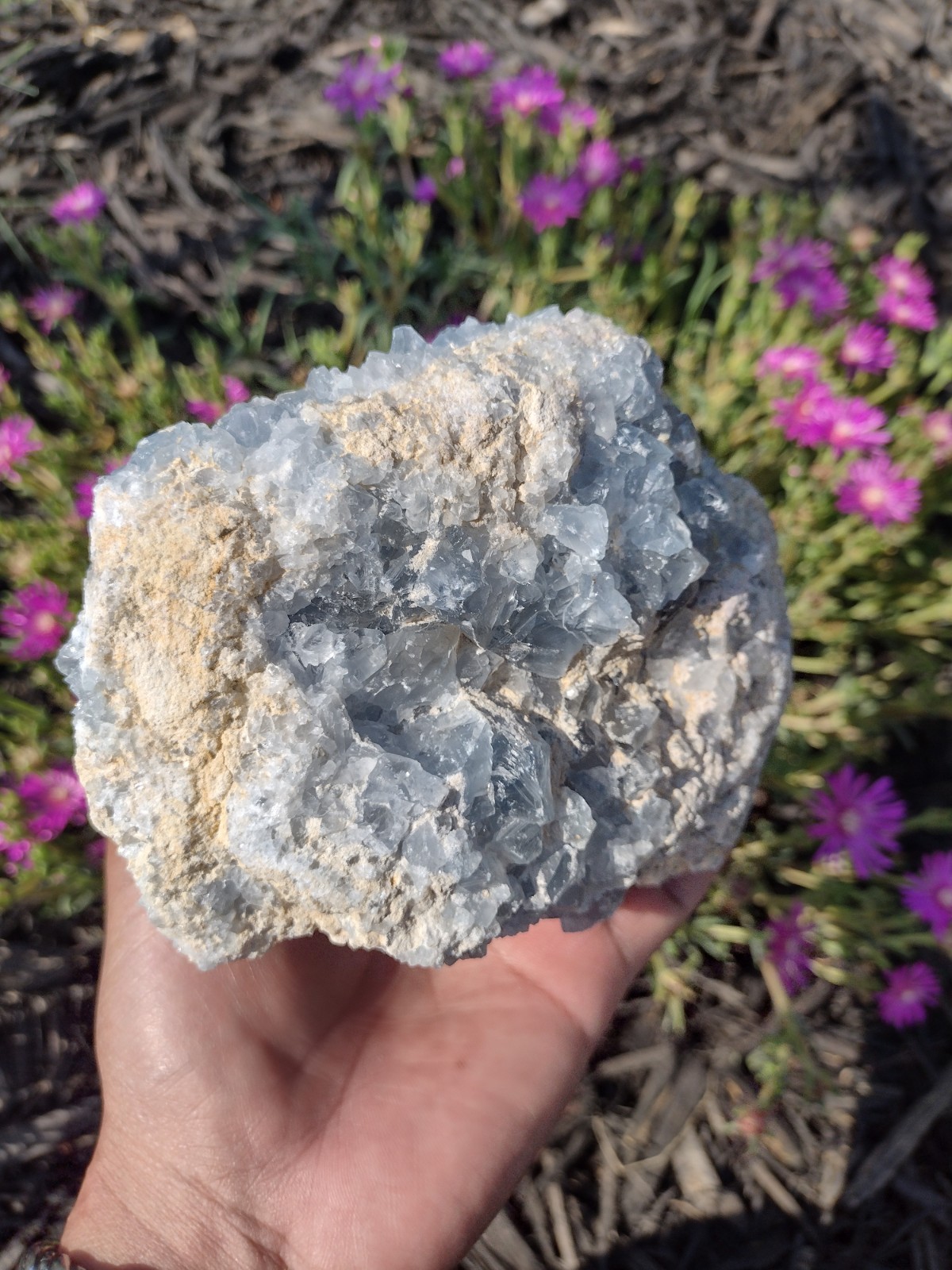 XL Celestite Cluster Raw Stone Rough Crystal Geode Specimen