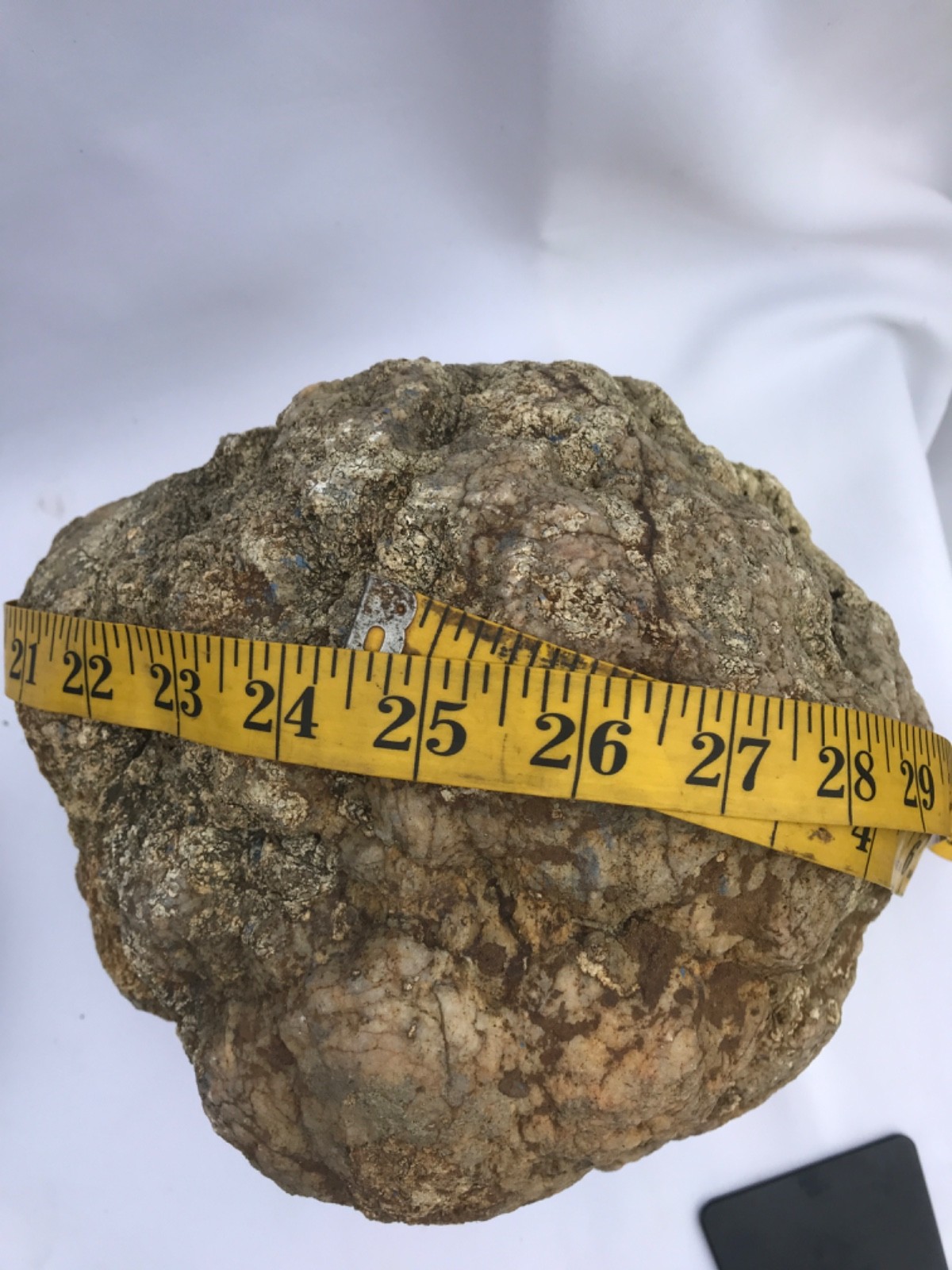 Rare Kentucky Geode Rattler 23.36 lb Unopened Natural Quartz Crack Your Own