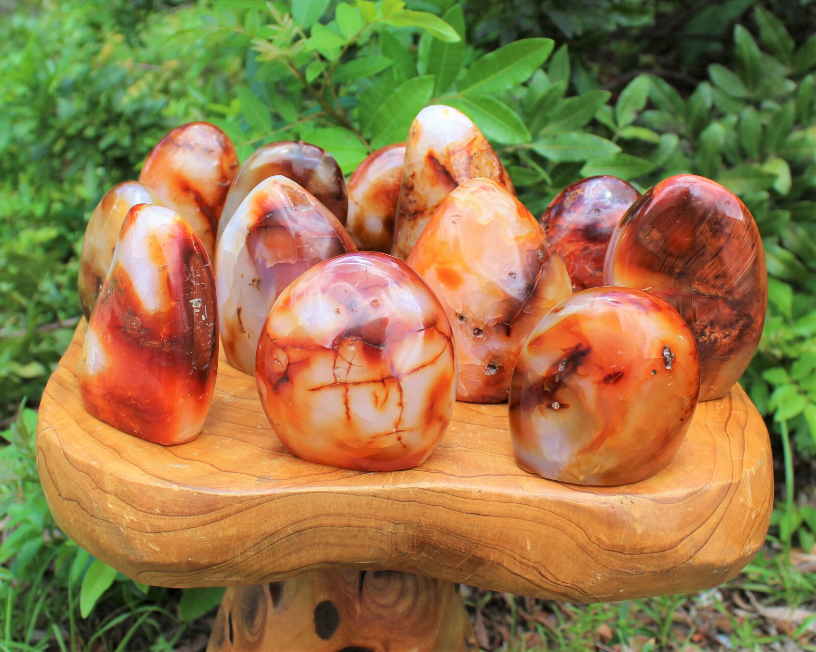 Carnelian Freeform – Polished Carnelian Crystal Free Standing Display Specimens