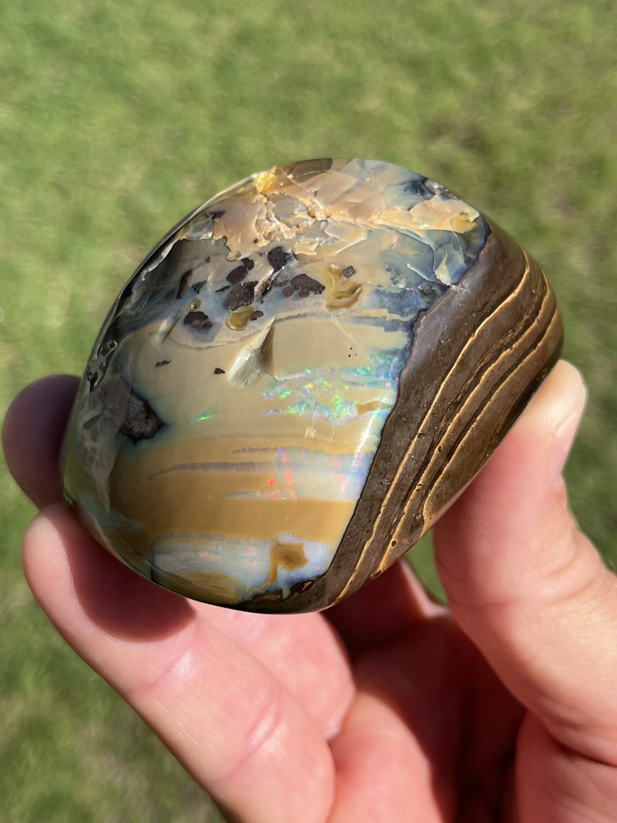 1281 Ct Australian Boulder Opal Large Polished Specimen Winton, Queensland