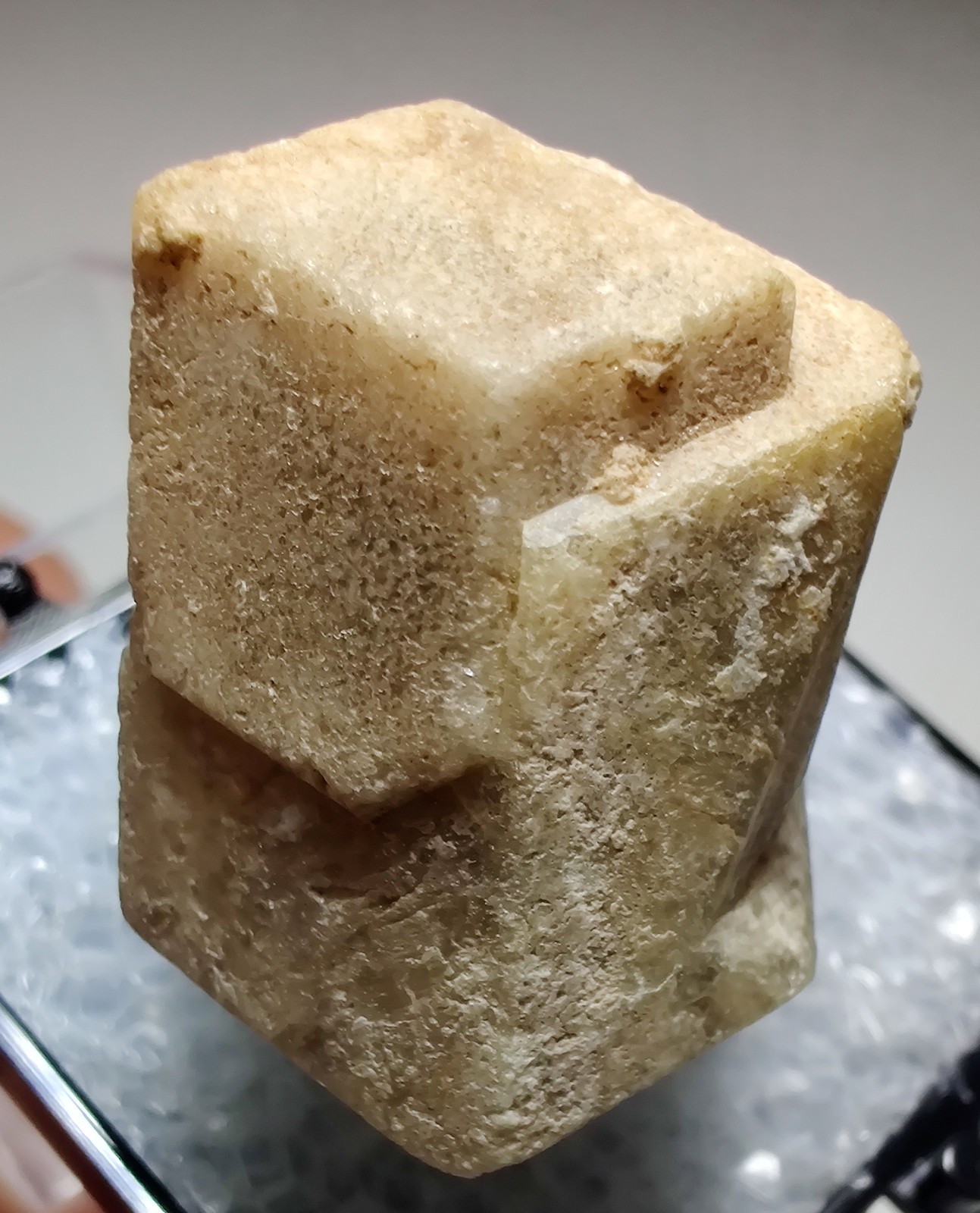 Grossular Garnet crystal, twinned. Sierra de Cruces, Coahulia, Mexico. 3 cm.