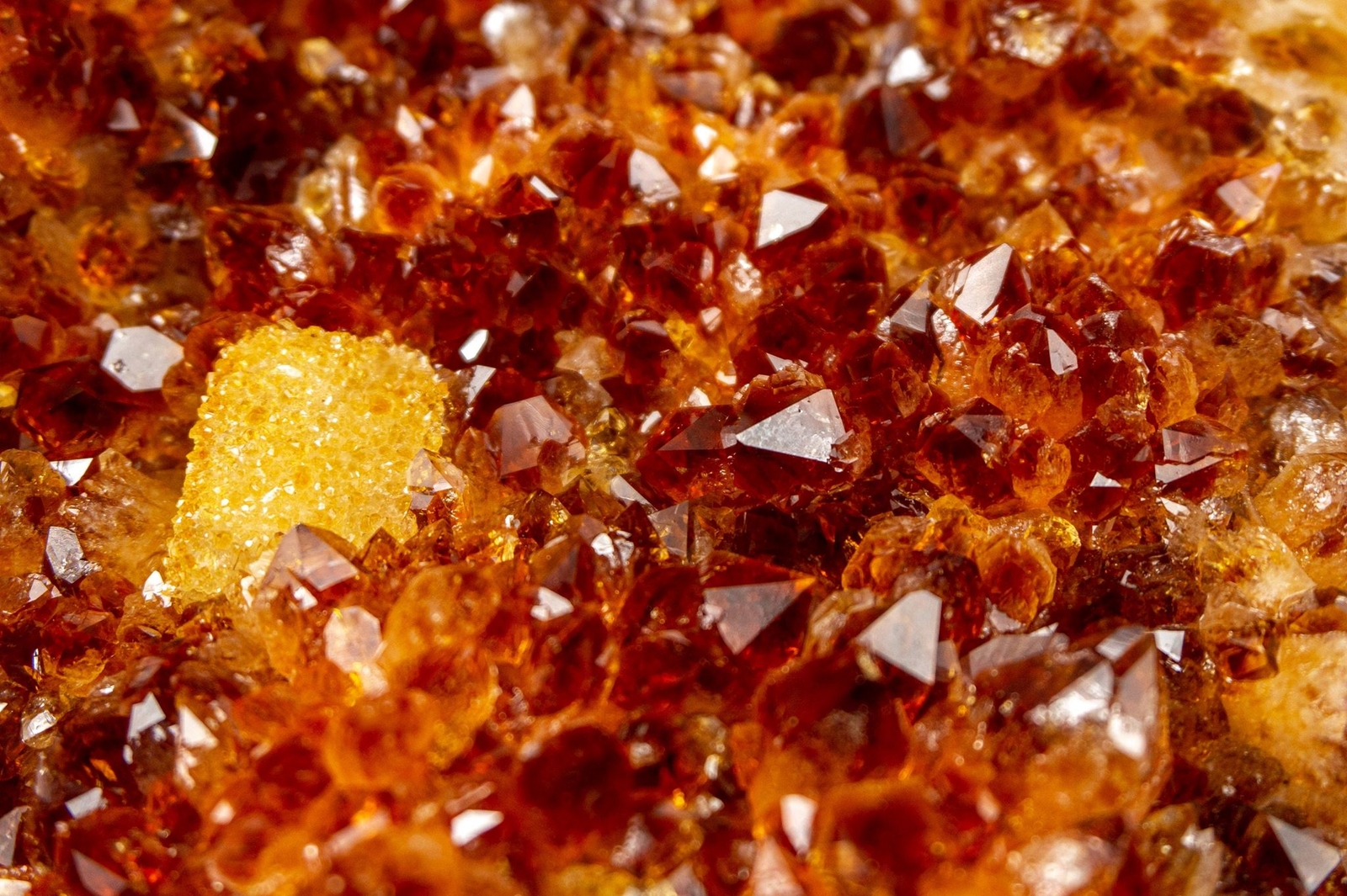 Golden Orange Citrine Cluster, High-Grade Crystal Citrine on Stand. AAA – 11 Lb