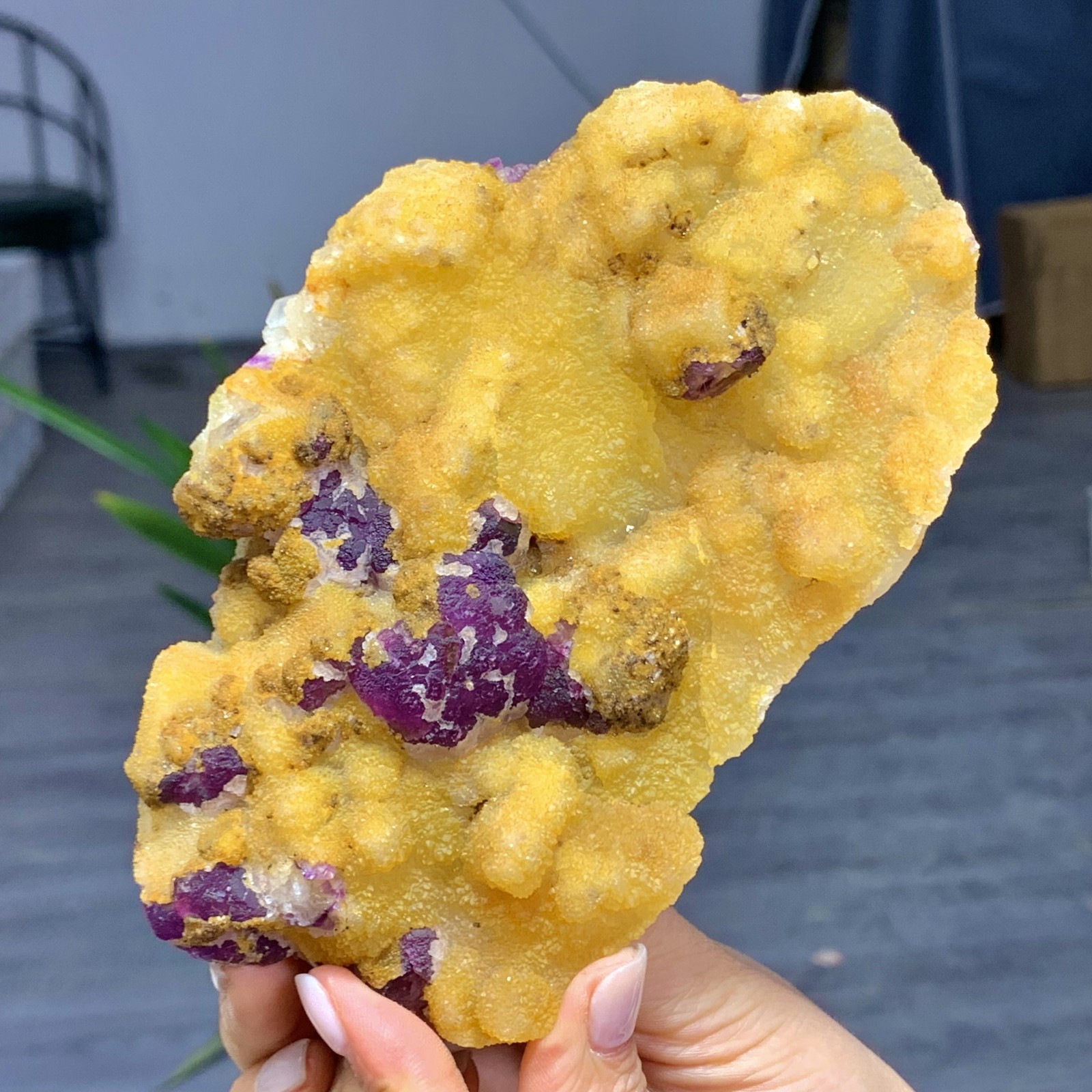 1.17LB Yellow crystal coexisting purple fluorite mineral- Inner Mongolia, China