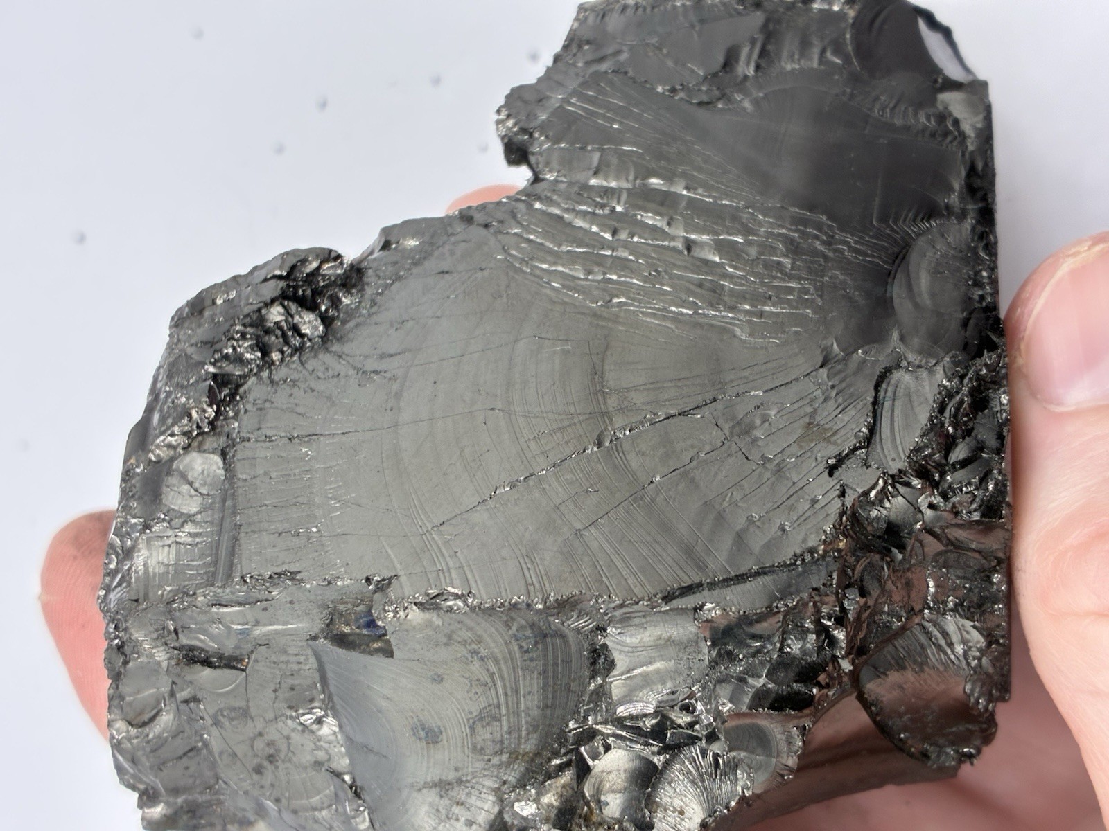 Elite Shungite 168.45g L-Shape Specimen – Metallic Luster | Russia