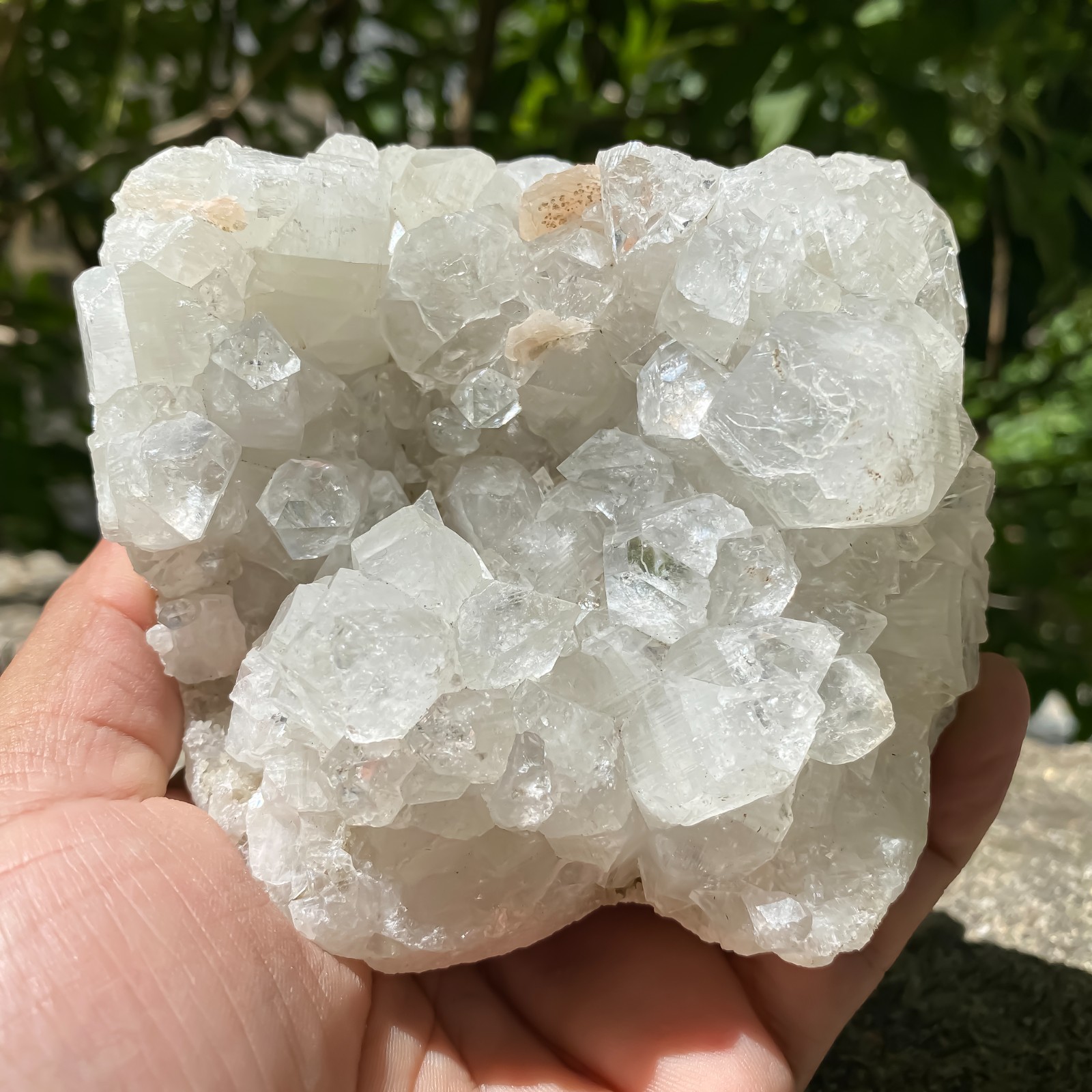 Apophyllite Cluster -Raw Crystal Cluster – Intuition 1.41 LBS – Witchy Decor