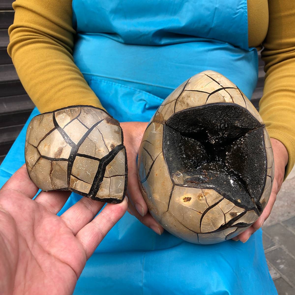3860G Natural Turtle Back Stone Dragon Crystal Cave Crack Gem Healing 4354
