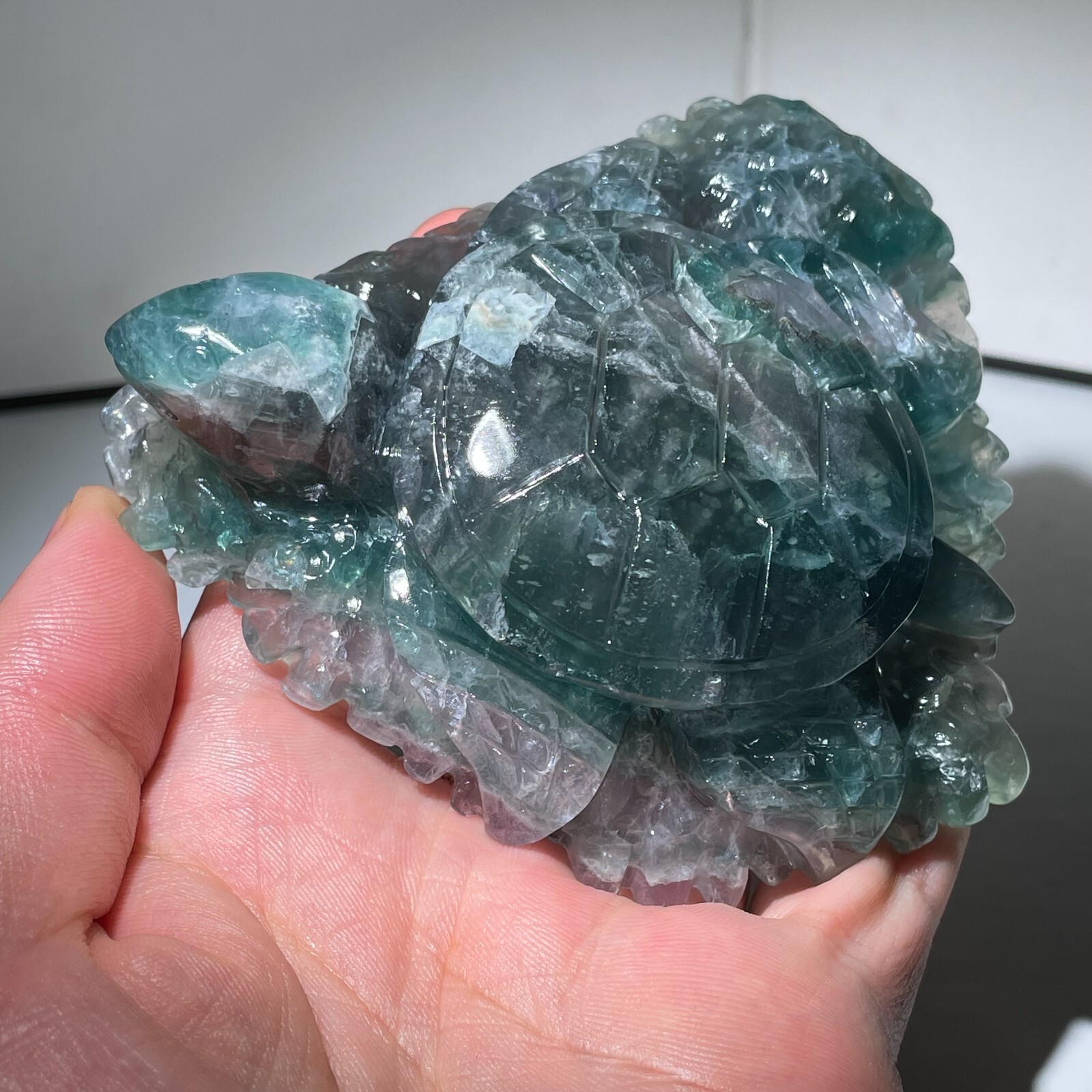 353G Natural Color fluorite Quartz Crystal sea turtle Skull Reiki Healing Gift