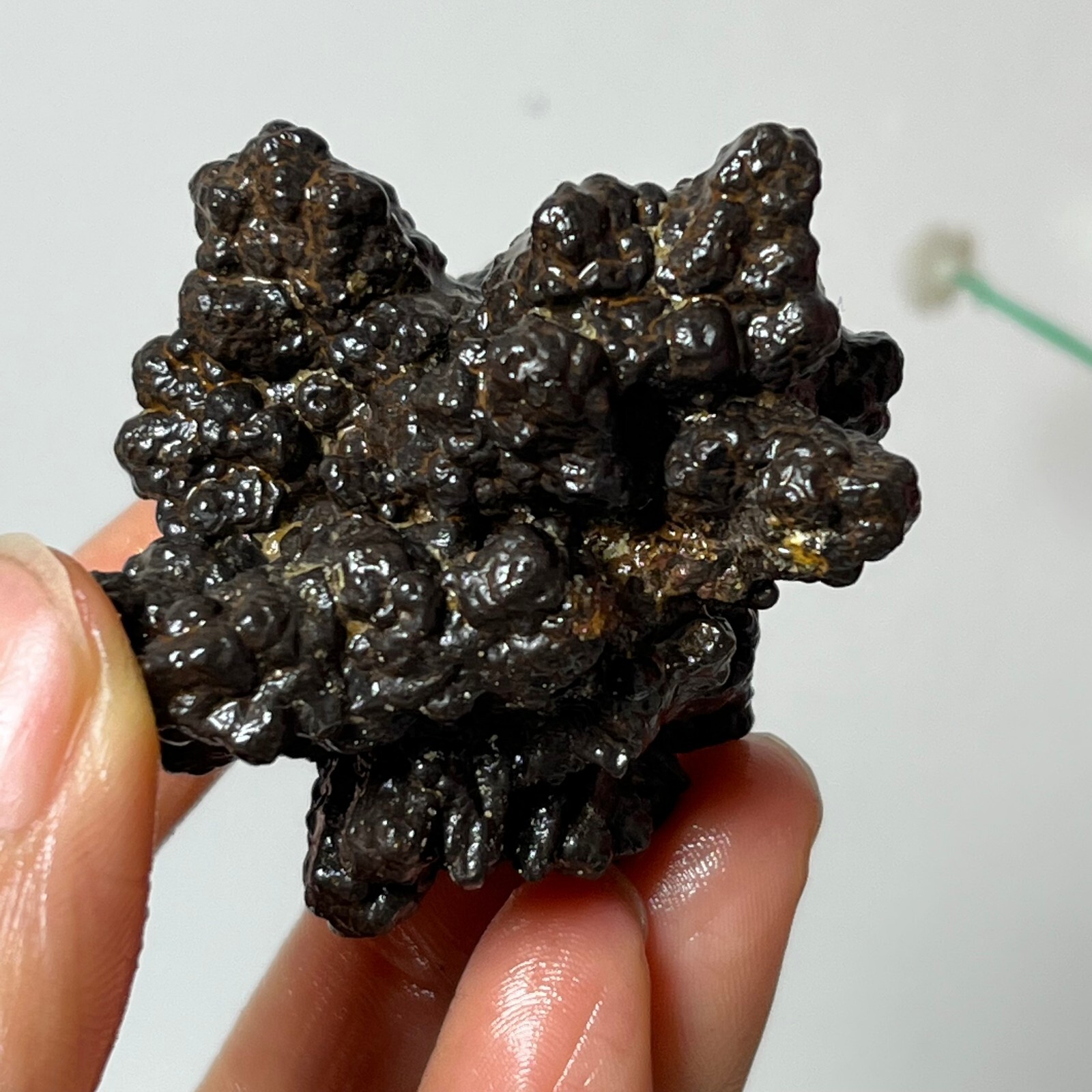 Top-level AAA+Natural Limonite And Hematite Prophecy Stone From Egypte-After