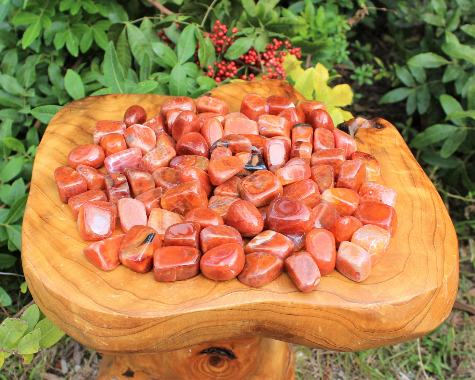 1/4 lb Bulk Lot Fire Agate Tumbled Stone: Crystal Healing Reilki Gemstone 4 oz