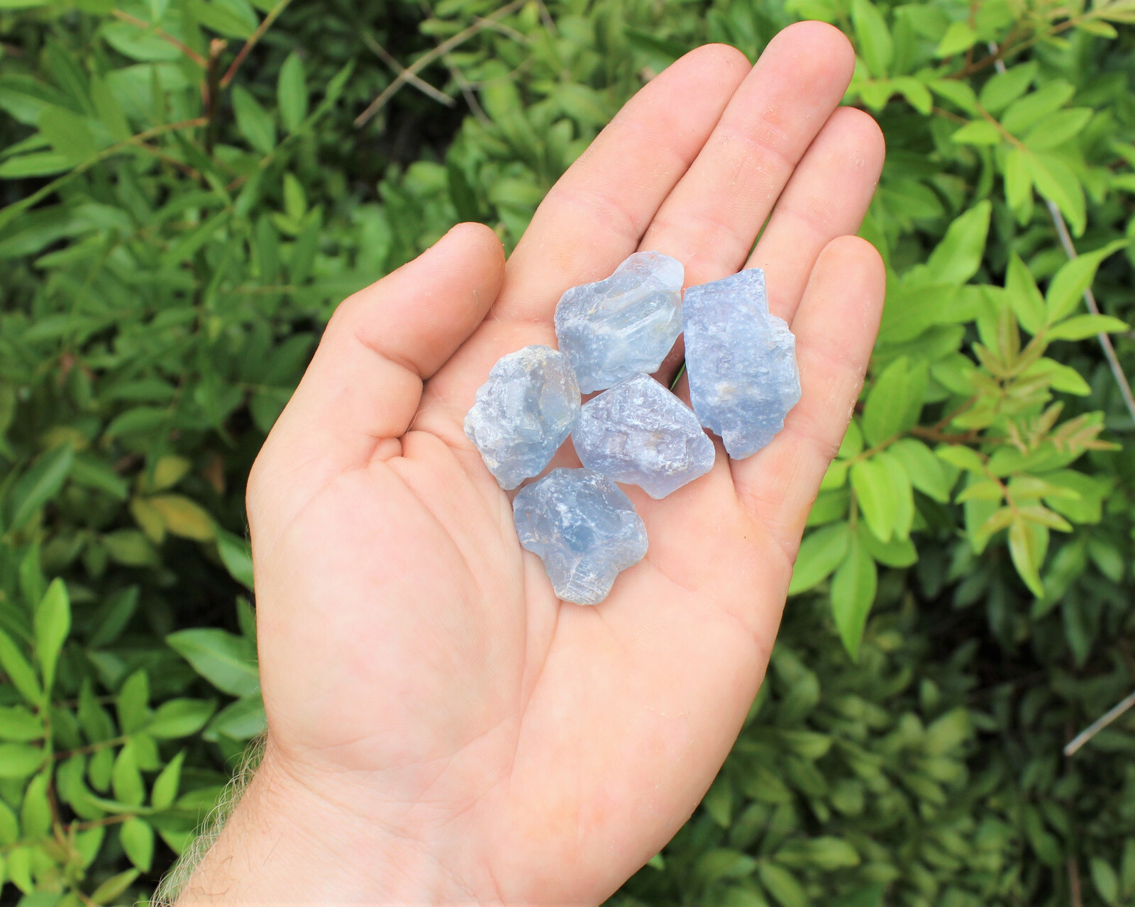 Celestite Rough Chips Natural: Choose Amount (Raw Celestite Crystals, Celestine)