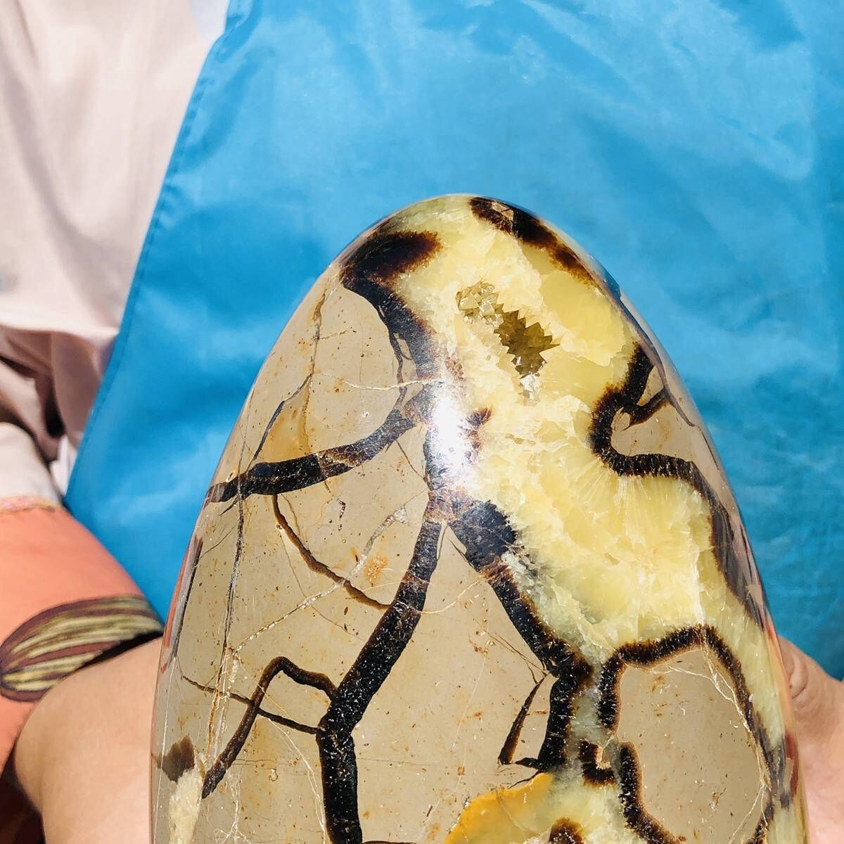 3390G natural turtle shell stone egg spiritual healing KH2124