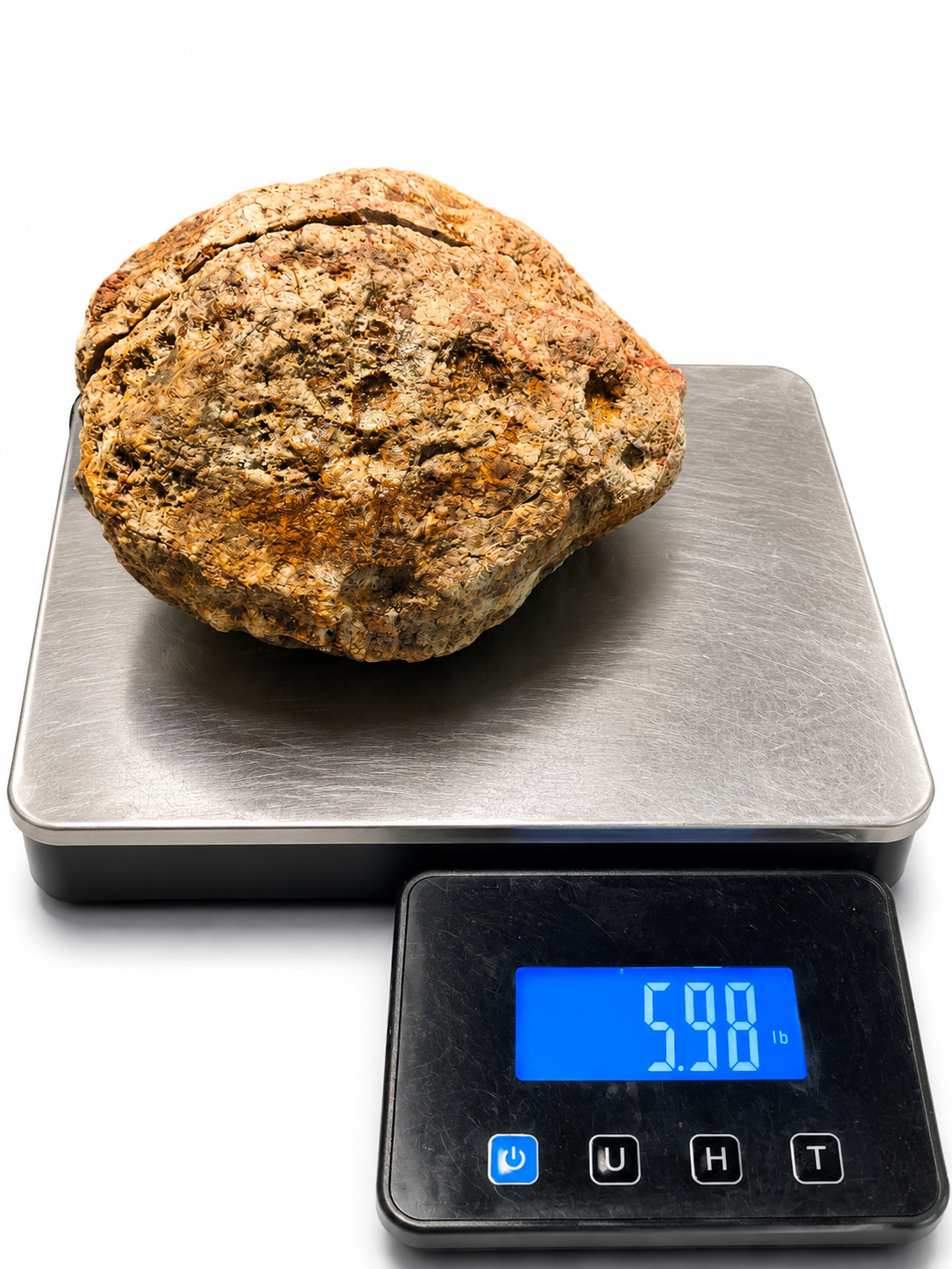 5.98 lb Kentucky Geode Pre-Scored Crack Your Own Large Crystal Specimen Ky