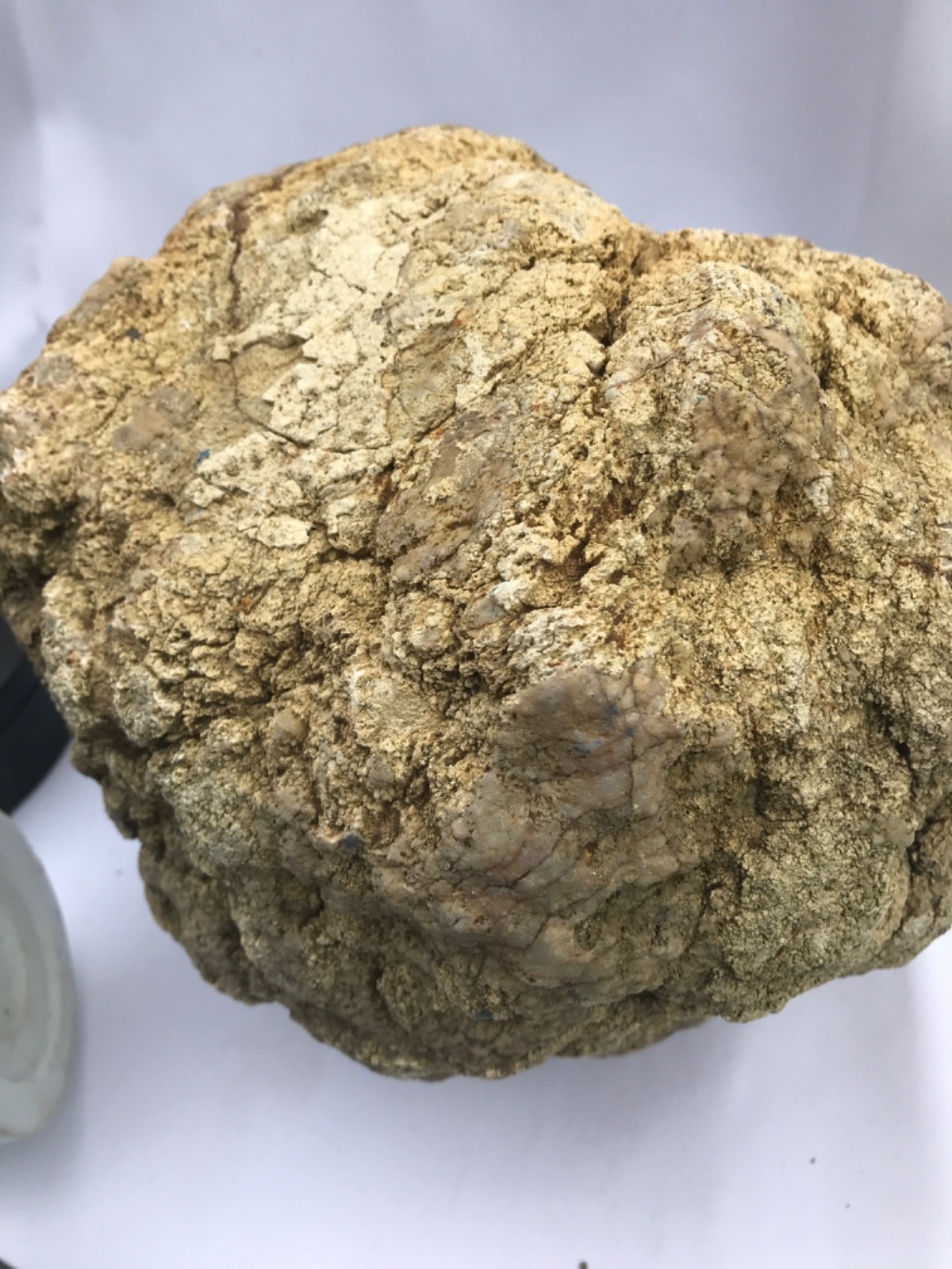Rare Kentucky Geode Rattler 23.36 lb Unopened Natural Quartz Crack Your Own