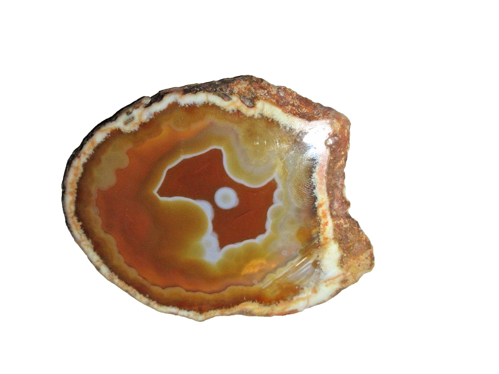 Agate Quartz Crystal Blended Brown Geode Cut Polished Slice Flat ~3.50″x2.50″