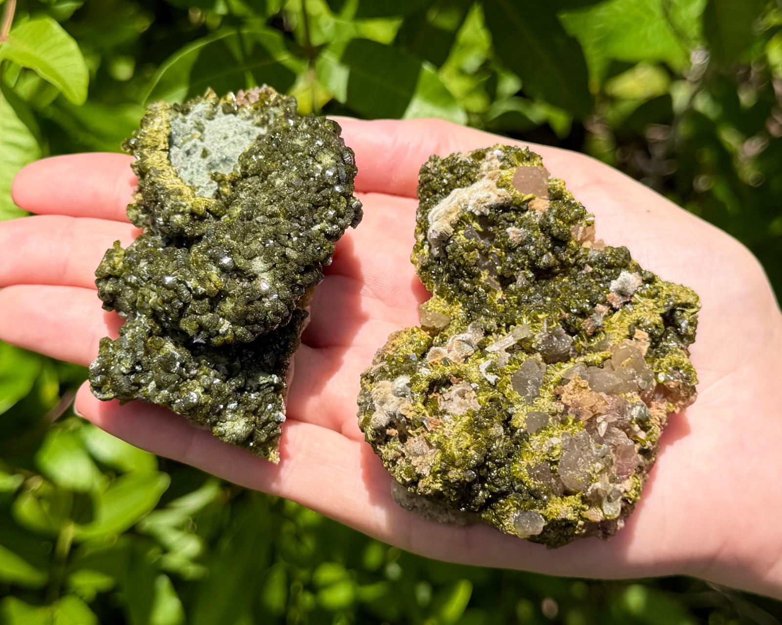 Natural Epidote with Quartz Crystal Clusters – Fairy Forest Quartz Minerals