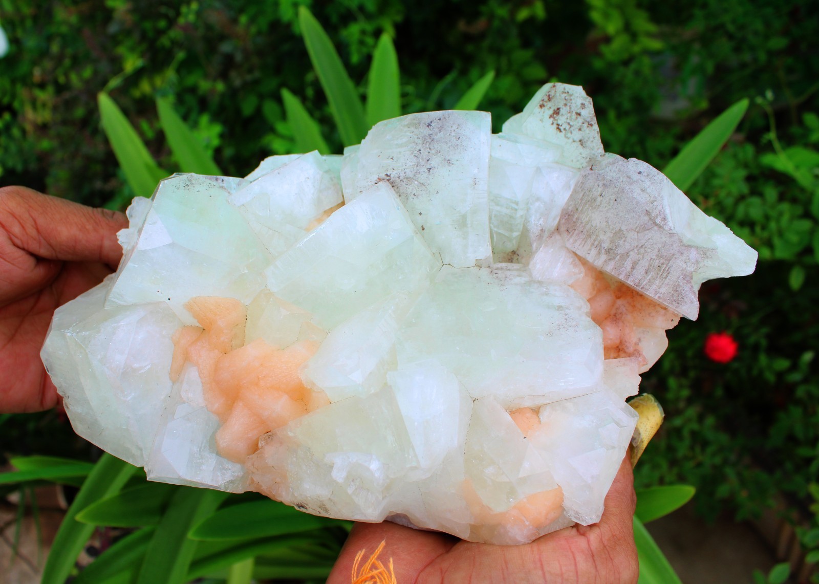 GREEN APOPHYLLITE CRYSTALS WITH STILBITE ON MATRIX MINERALS SPECIMEN #A60