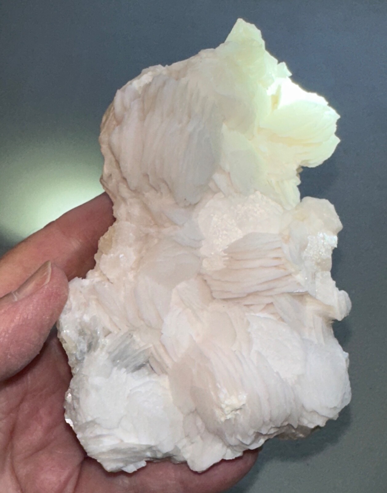 Rose Petal Calcite Specimen,Metaphysical,UV,Quartz Crystal Gift,Unique,Decor