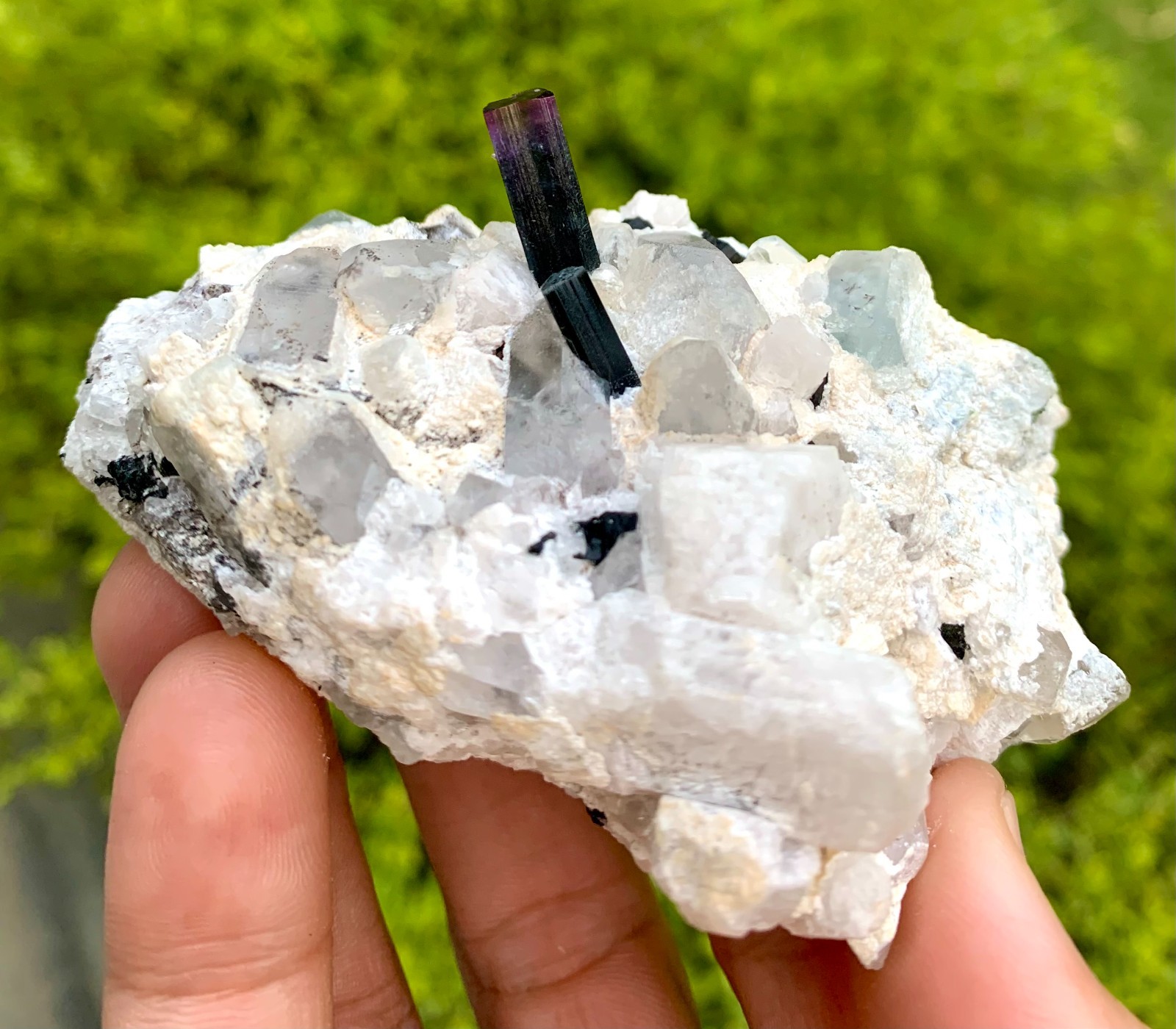 192 GM Multi Color Tourmaline With Quartz & Topaz From Chamachu Mine Shengus Rhu
