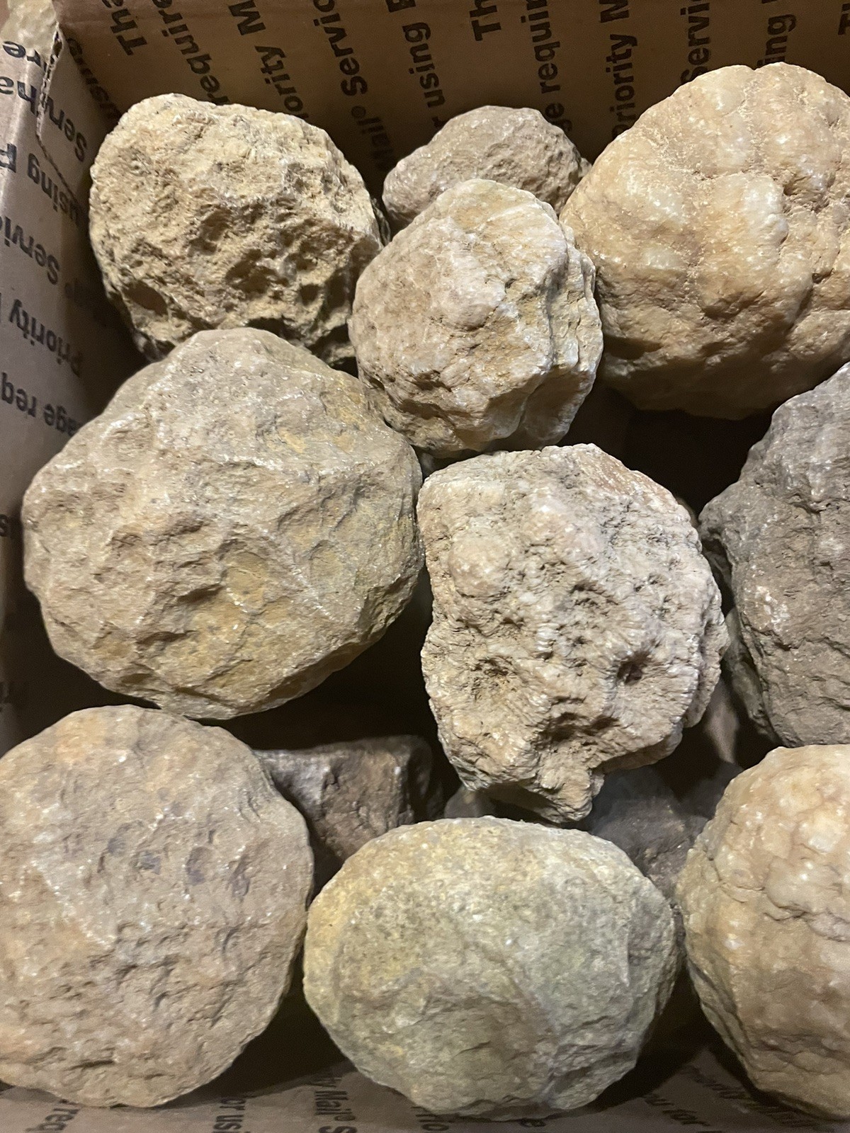 BOX OF KENTUCKY GEODES:26-2” TO 3 1/2” LAPIDARY!