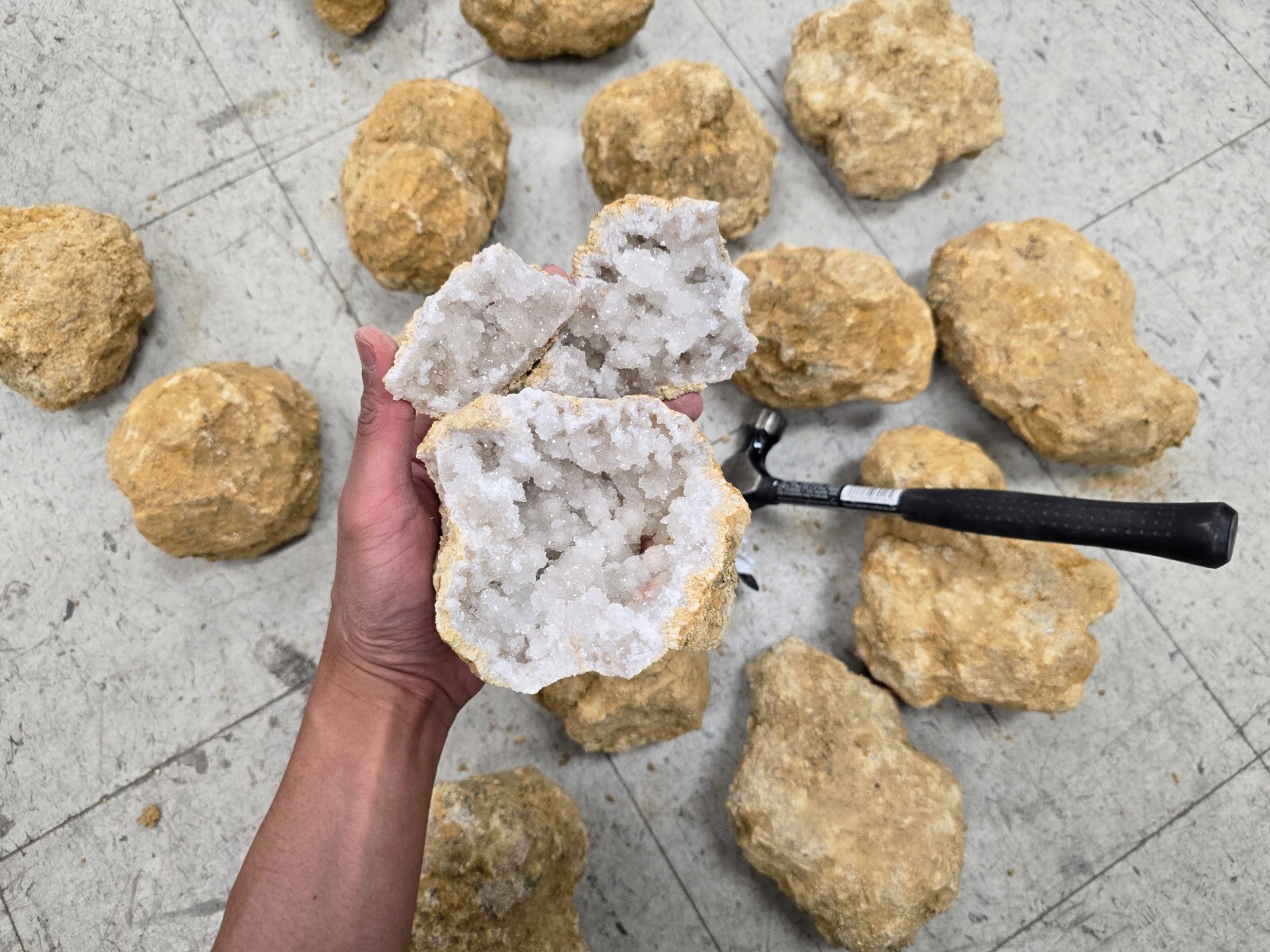 JUMBO Geode Break Your Own Unopened Quartz with Sparkly Quartz Inside Fun Gift