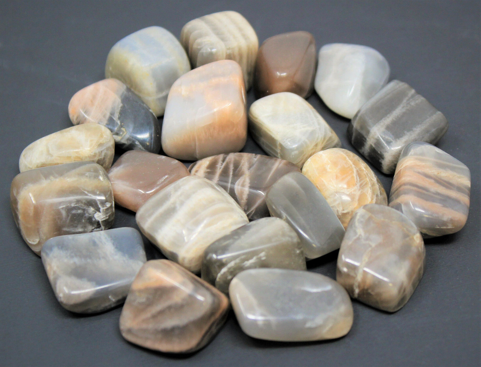 1/2 lb Bulk Lot BLACK Moonstone Tumbled Stone, Crystal Healing Reiki Tumble 8 oz