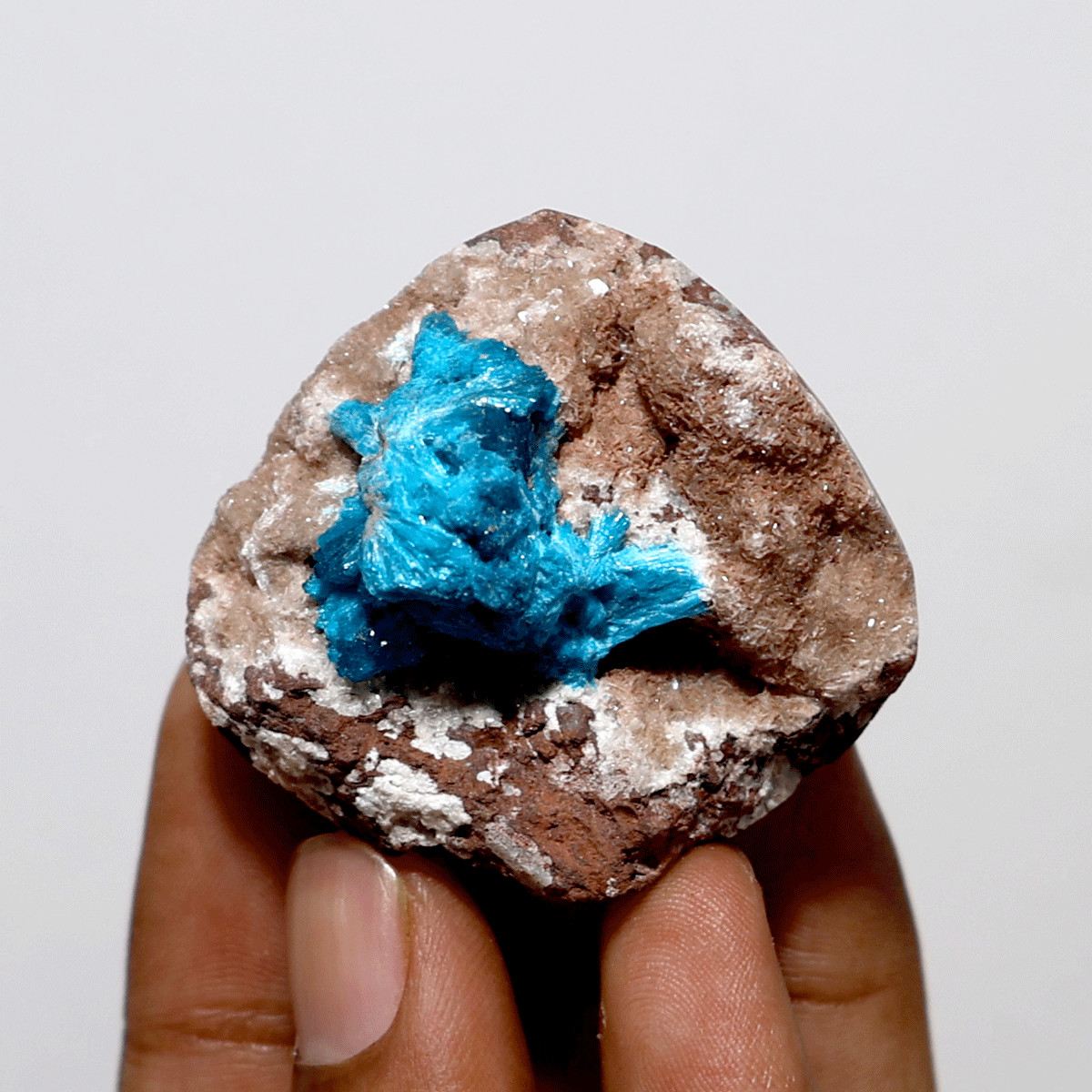 Electric Earth Treasure — Natural Cavansite Palm — Blooming Mineral Collection