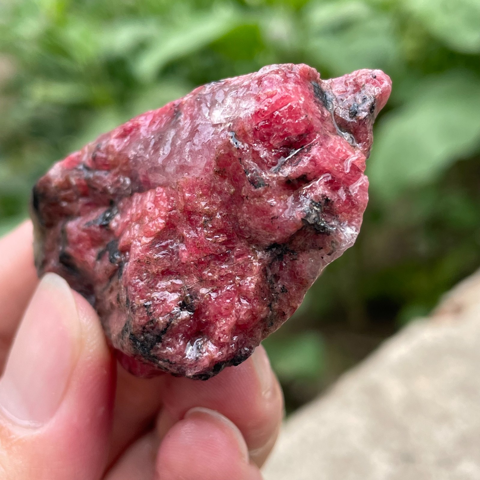 84g Small Raw Ore Red Black Rhodonite Quartz Gemstone Mineral Specimen