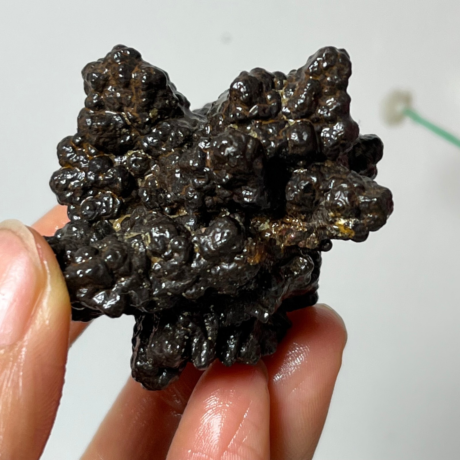 Top-level AAA+Natural Limonite And Hematite Prophecy Stone From Egypte-After