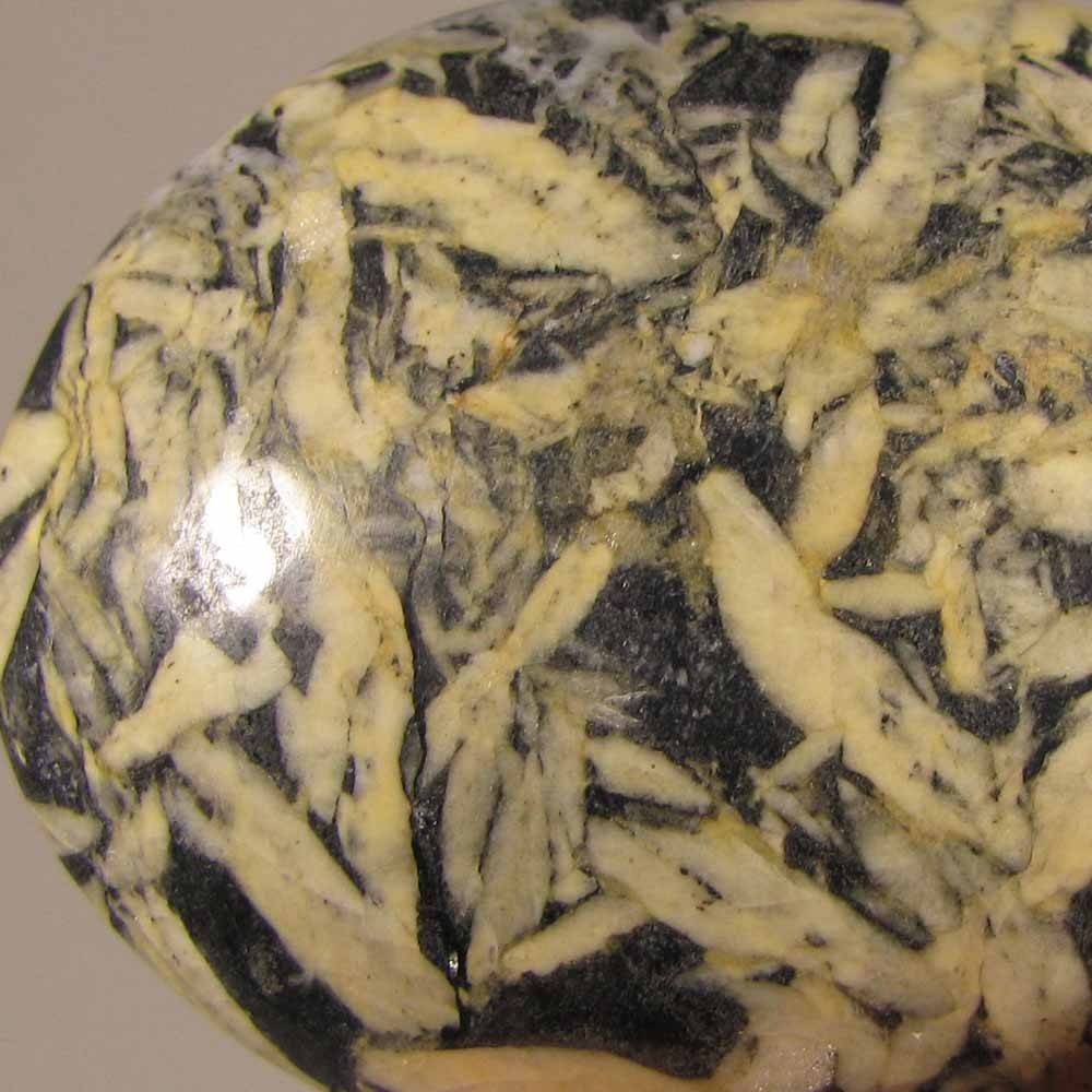 2″ PINOLITE Pinolith Polished Palm Stone – British Columbia, Canada