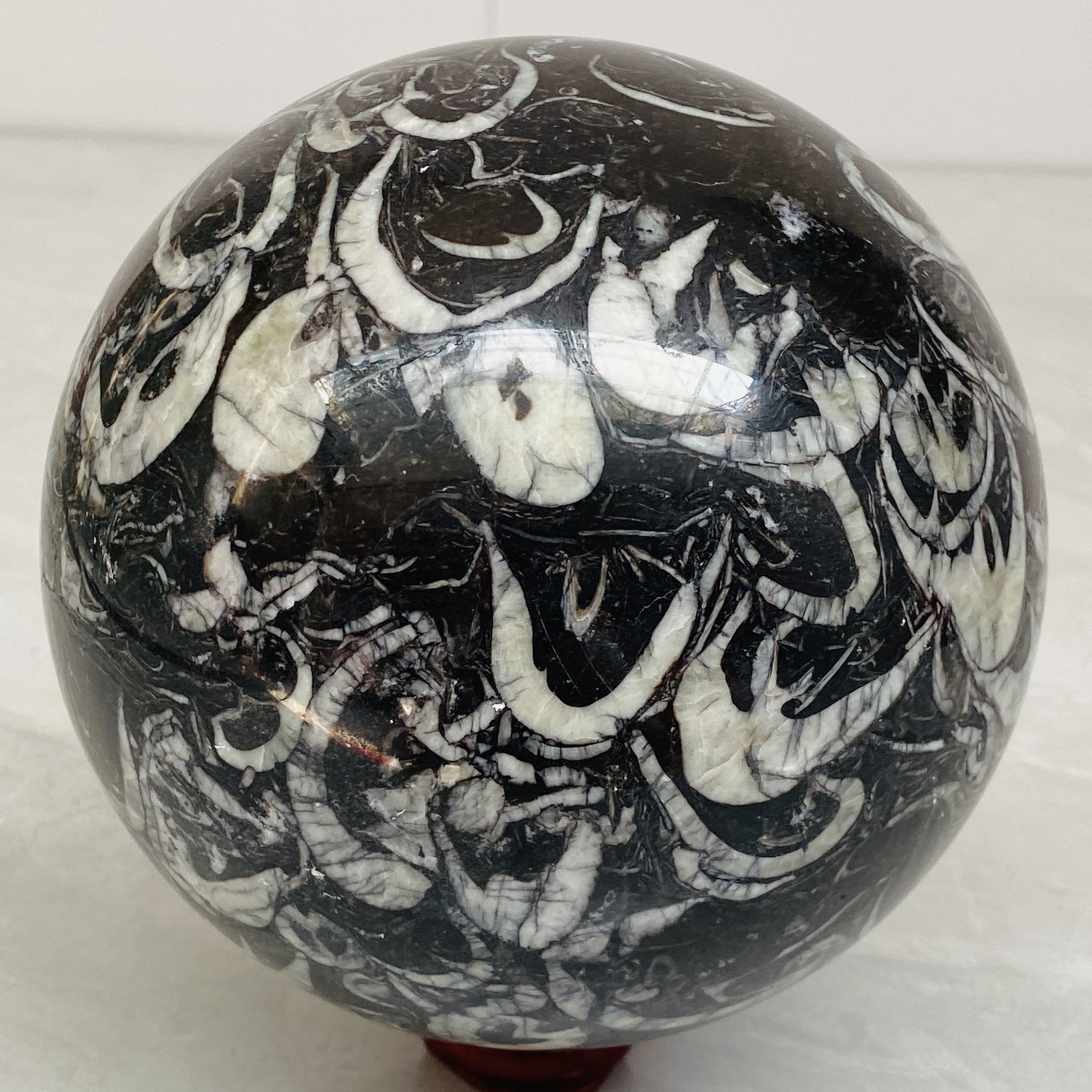 Natural Shell Jasper Thousand Eye Stone Crystal Polished Ball Healing (8.11LB)