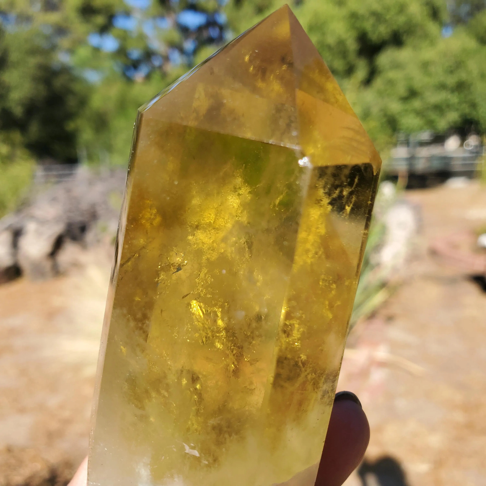 Citrine Clear Yellow Gold Phantom Flash Point Tower Crystal 188 grams