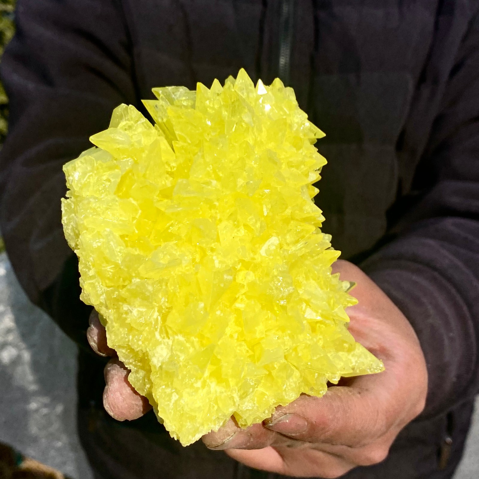 1.4LB Minerals ** LARGE NATIVE SULPHUR OnMATRIX Sicily- FREE.