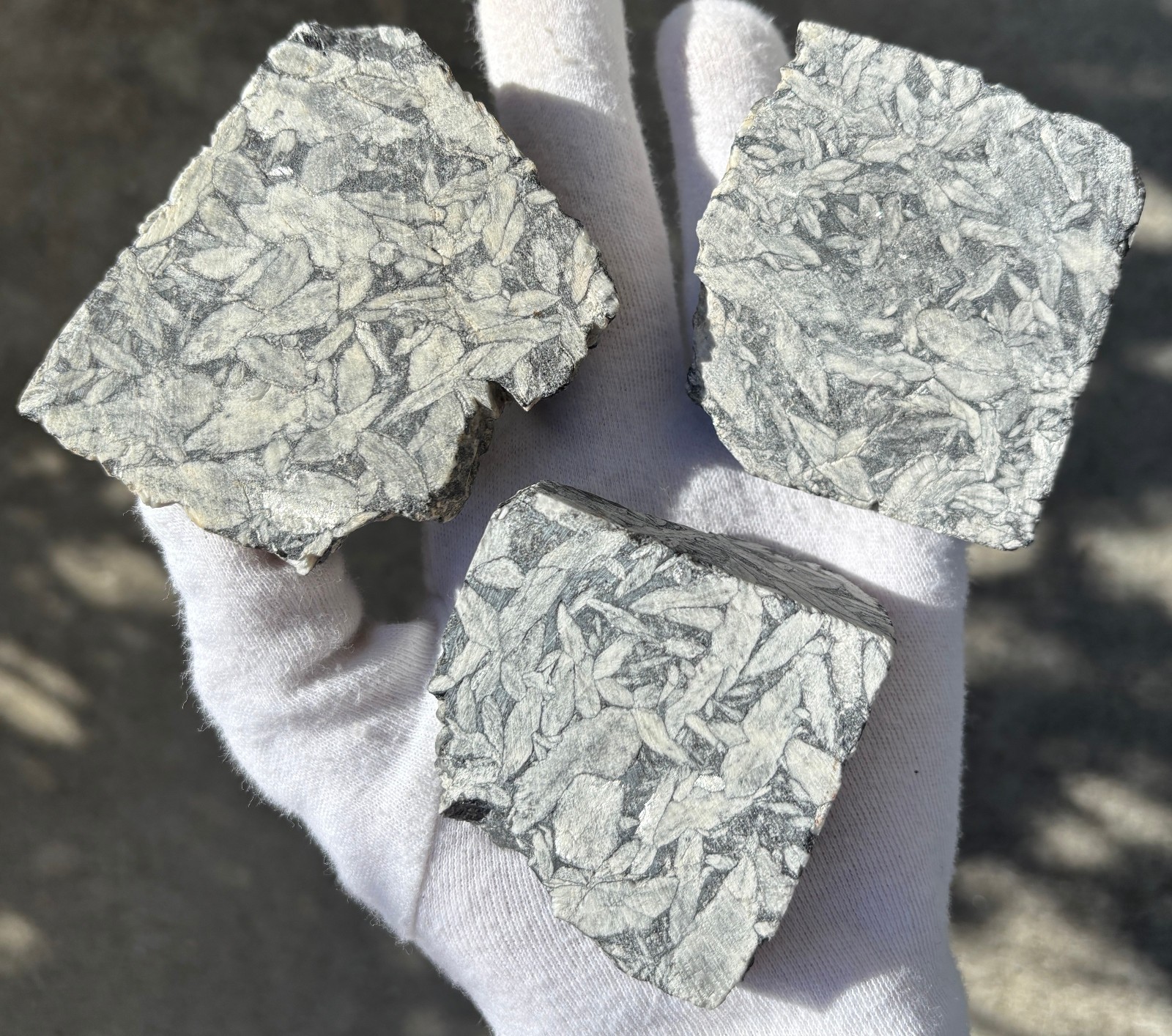1lb+ LOT PINOLITH JASPER ROUGH LARGE SPECIMENS SPECIMEN 1 POUND LARGE CHUNKS