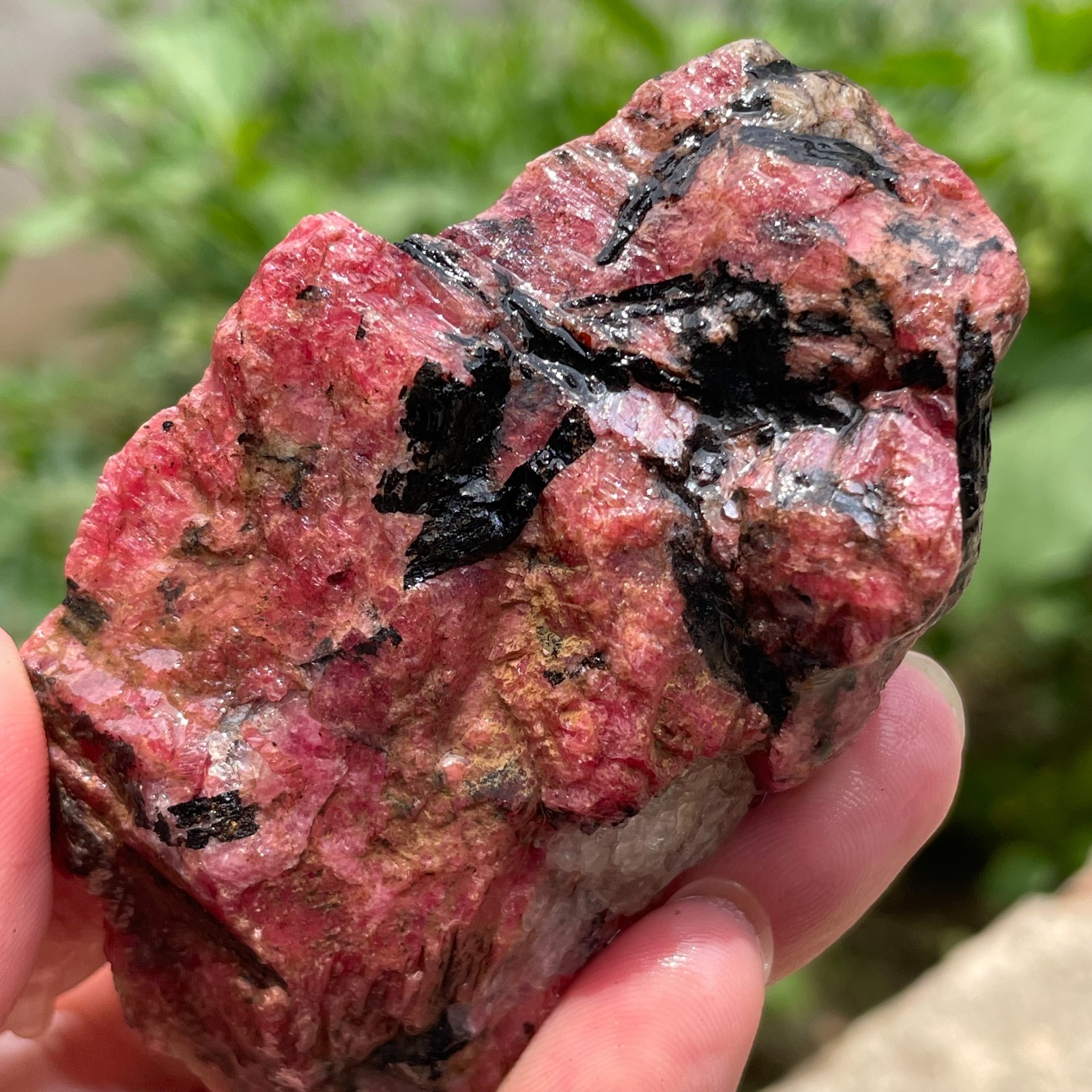 166g Small Raw Ore Red Black Rhodonite Quartz Gemstone Mineral Specimen