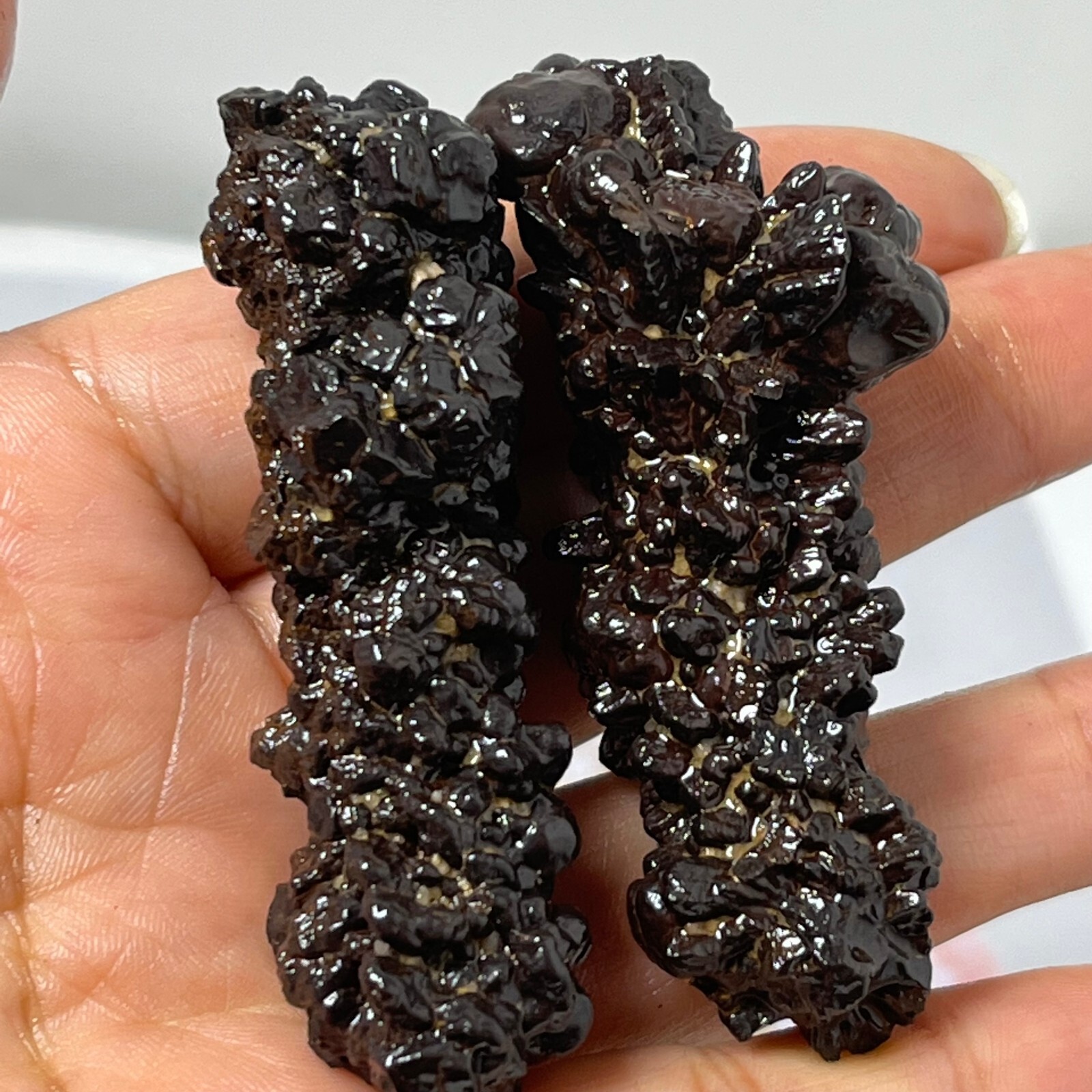 98g Limonite & Hematite pseudomorph after Marcasite – Prophecy Stone d24