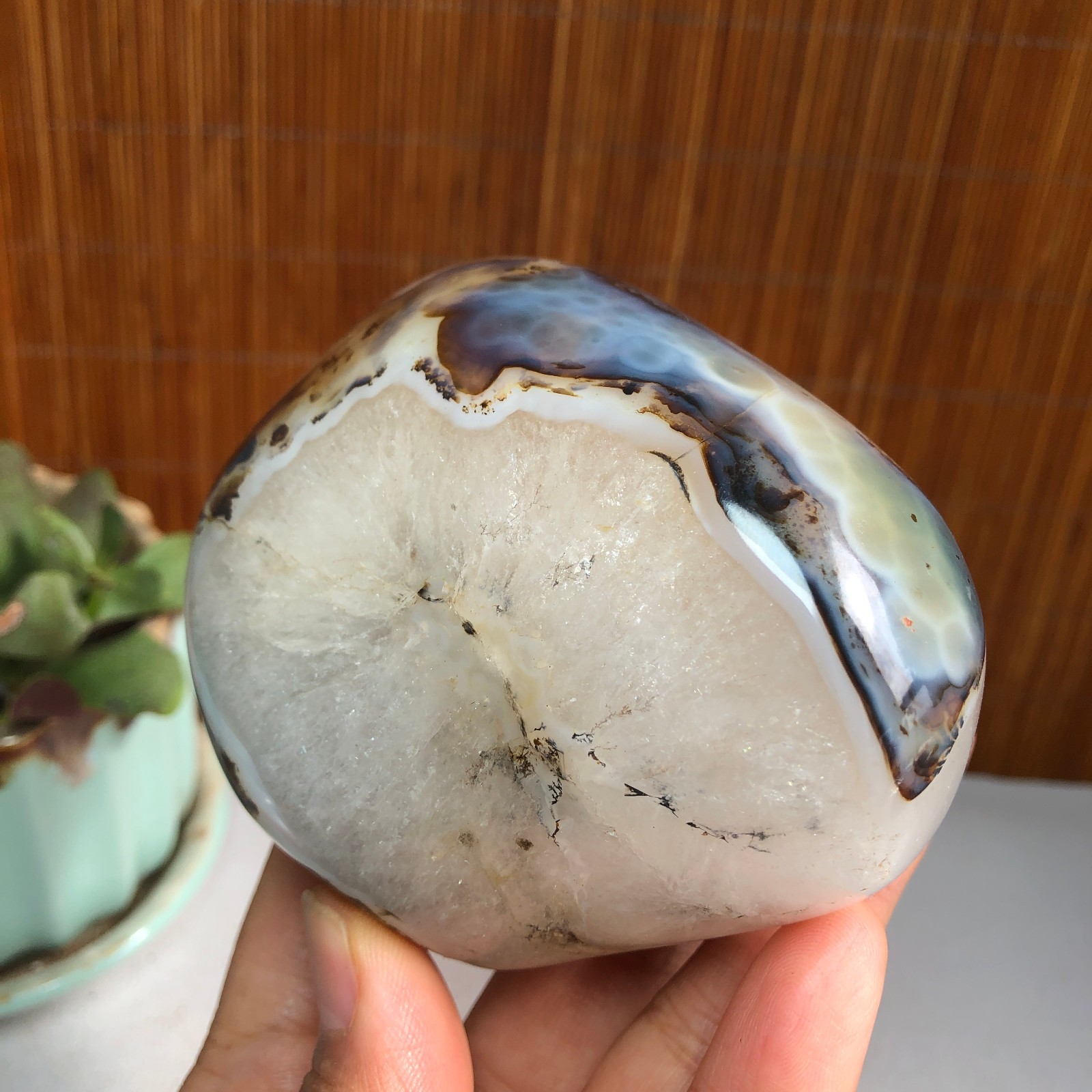 83mm Natural aquatic plants agate pretty Crystal specimens 427g A1482