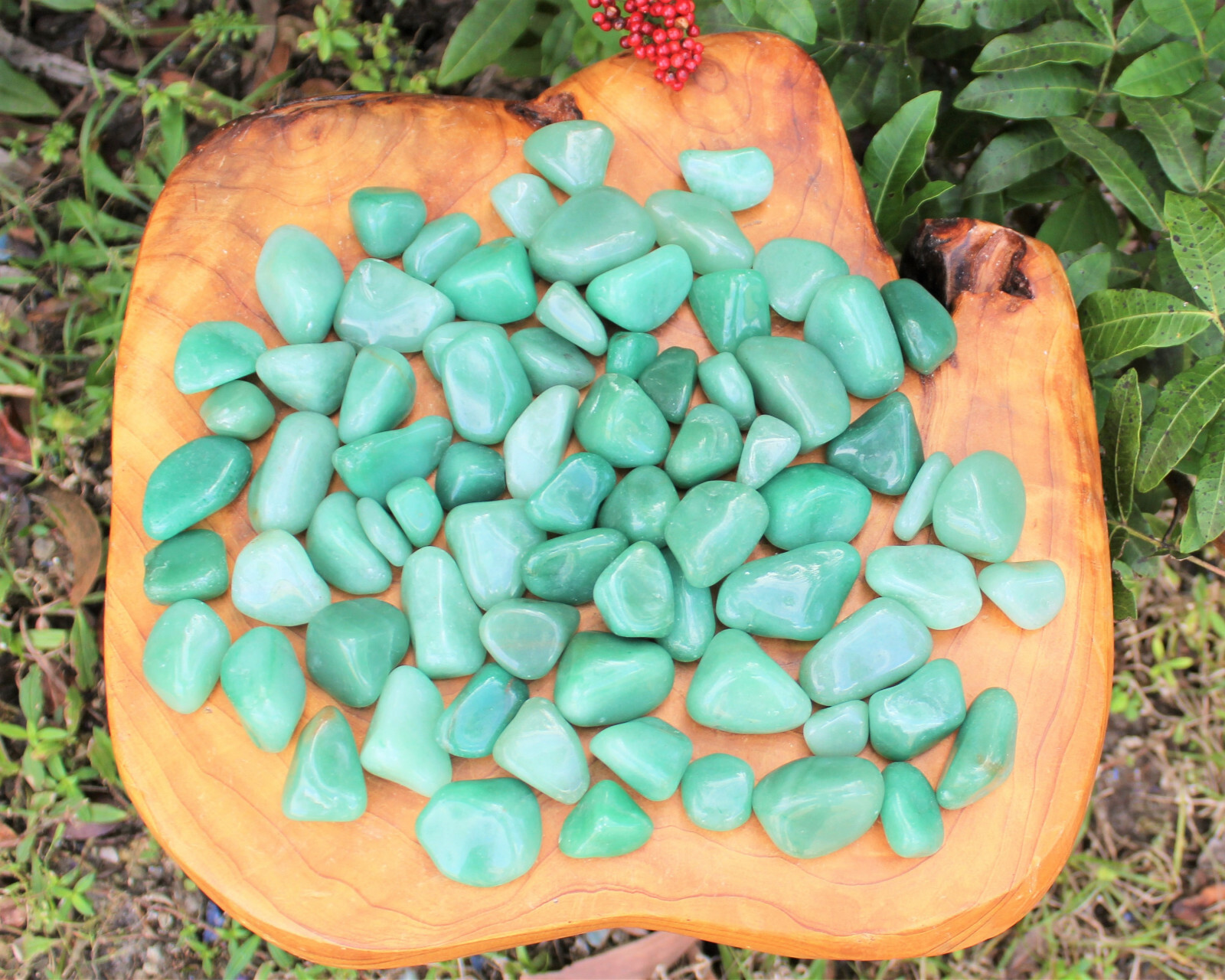 1 lb Bulk Lot Green Aventurine Tumbled Stone: Crystal Healing Reiki Tumble