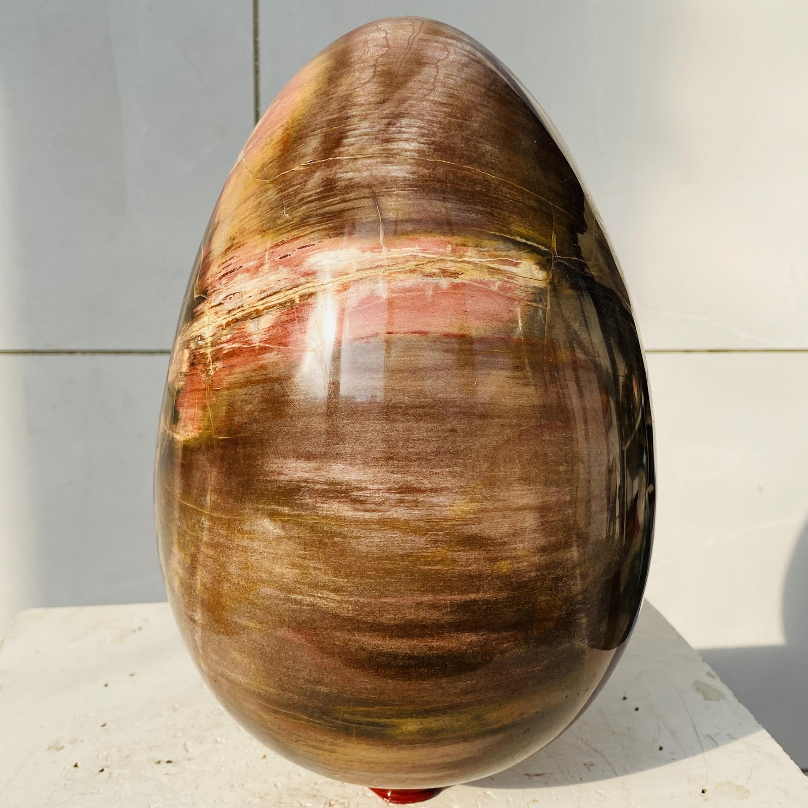 Natural Petrified Wood Egg Quartz Crystal Fossil Mineral 7820g