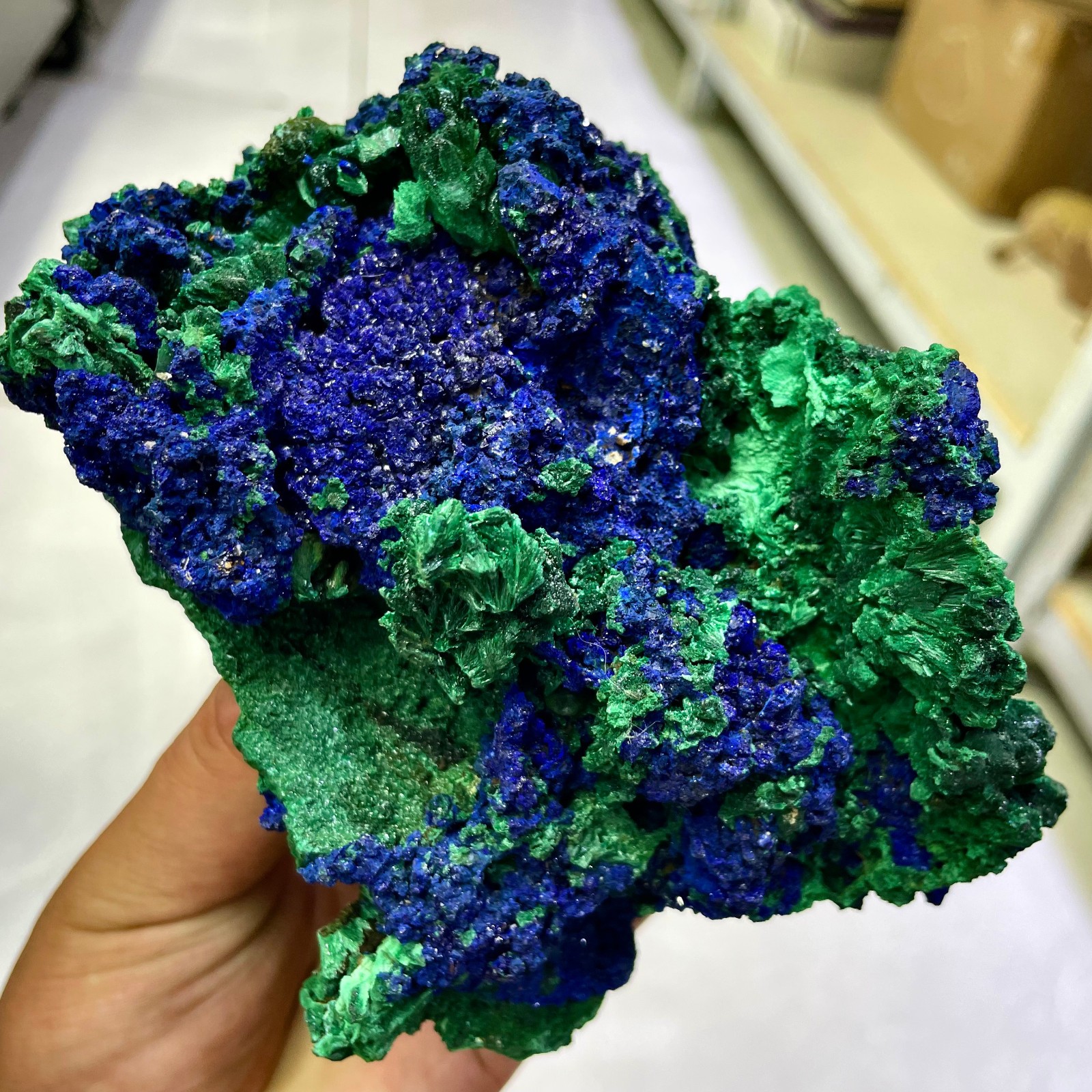 2.24LB BEST Natural Azurite malachite Symbiont Quartz Crystal Mineral+stand