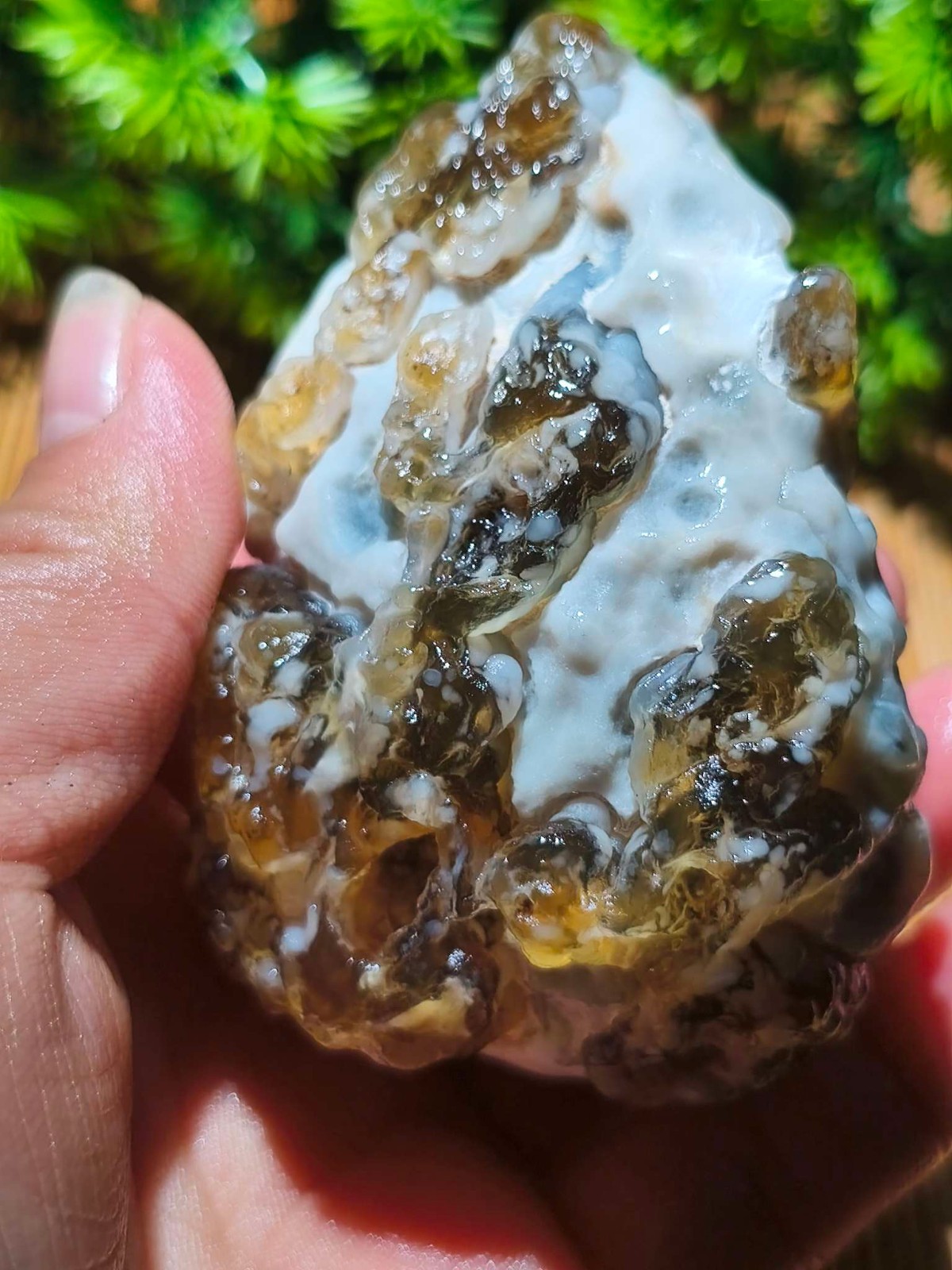 Rare China Inner Mongolia Gobi Eye Agate Stone Specimen Natural Designer 242G