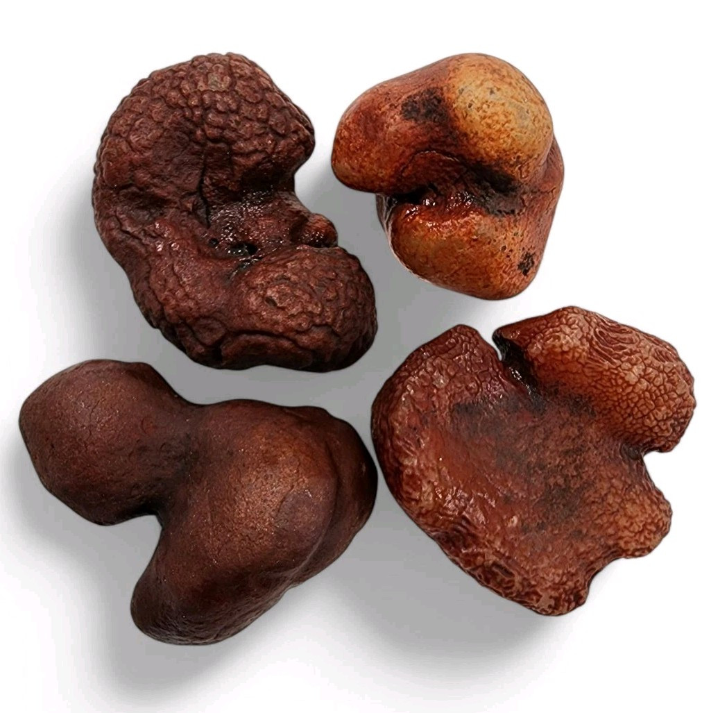 Red Snakeskin Agates Idaho 170.4 grams. 4 Piece Lot