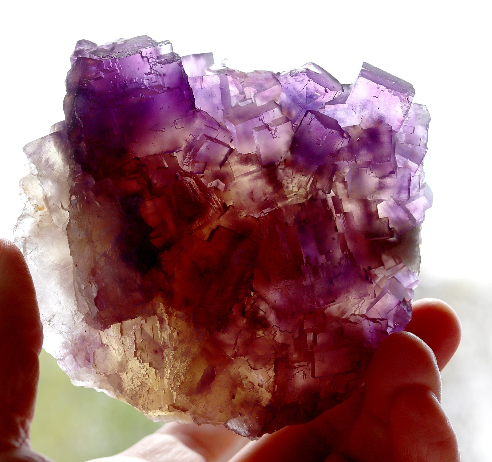 Excellent Fluorite. Cave in Rock, Illinois USA 4.25 inch across