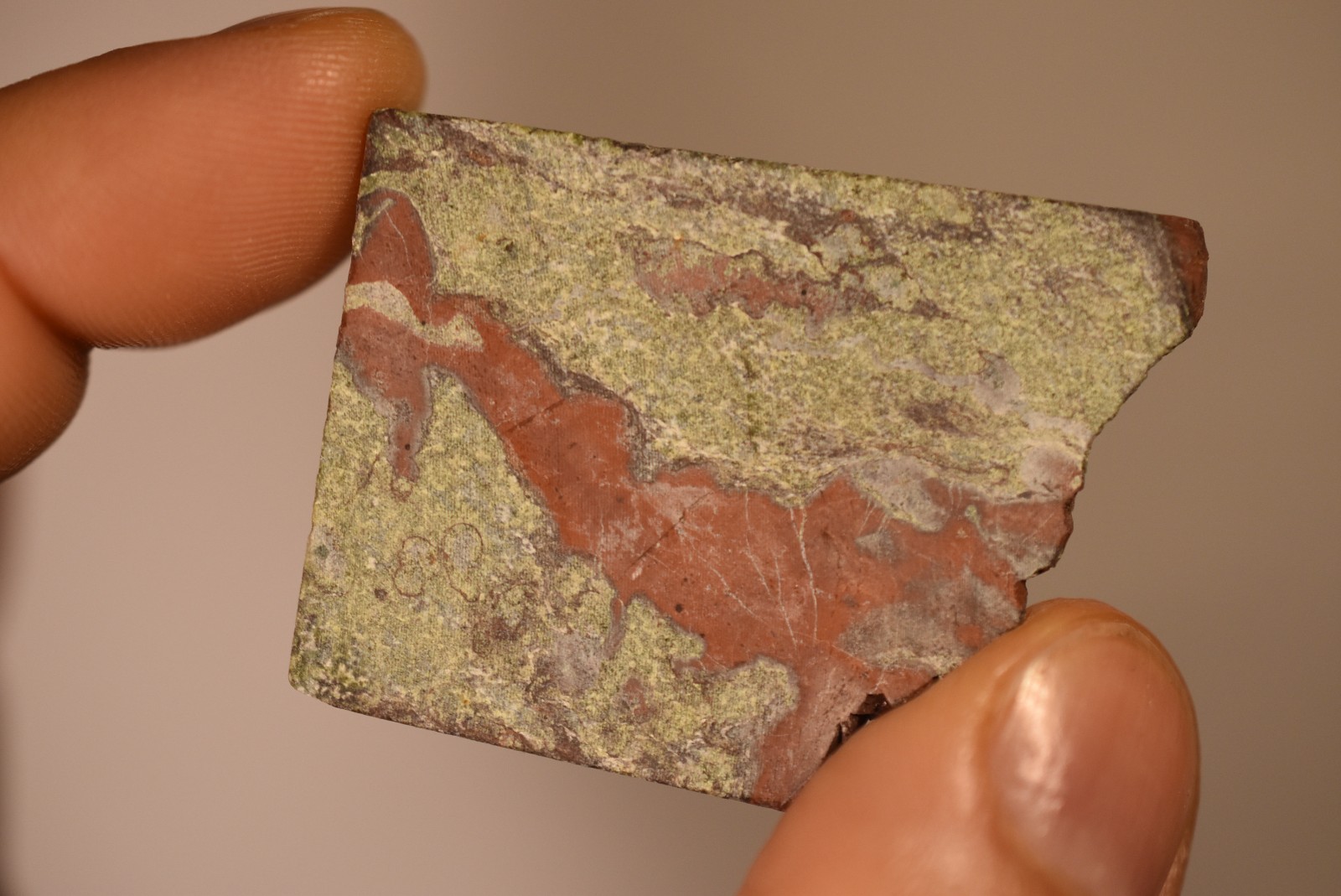 *DRAGON BLOOD JASPER* Slab 4.8cm 31.9g Dragonstone Slice Rough Specimen