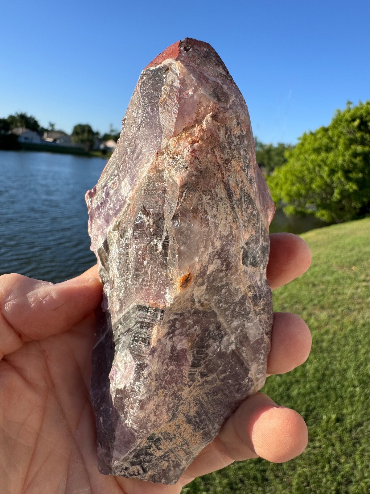 Large Fresh Auralite 23 Crystal Red Cap from Canada 452 grams 5.5″