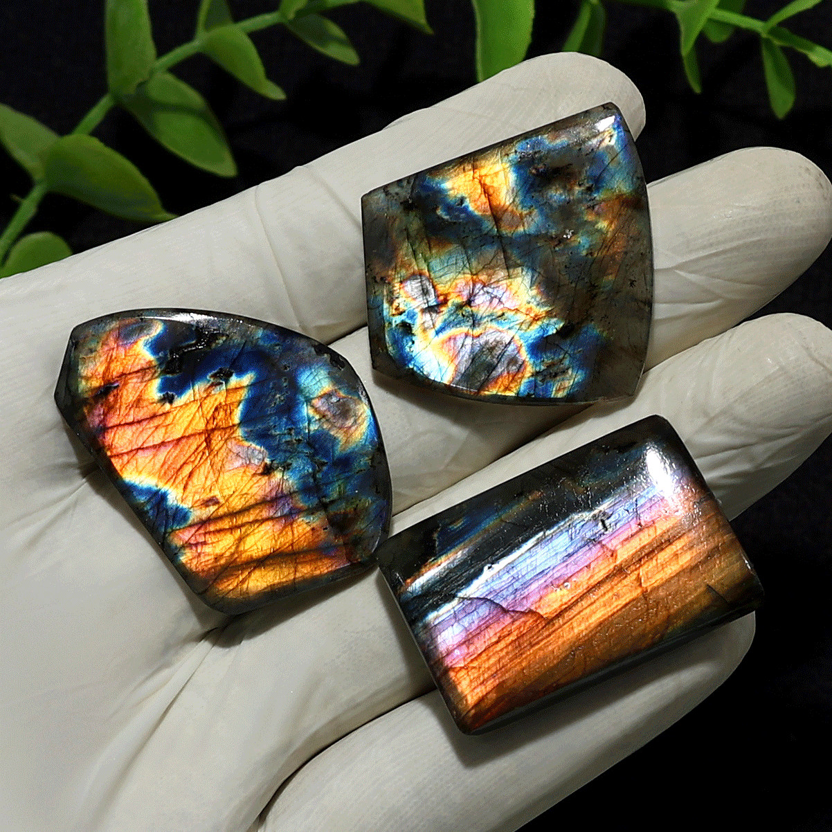 Aurora Touched Earth~ 3 PC Natural Spectrolite Freeform Gemmy Crystal Slabs Set