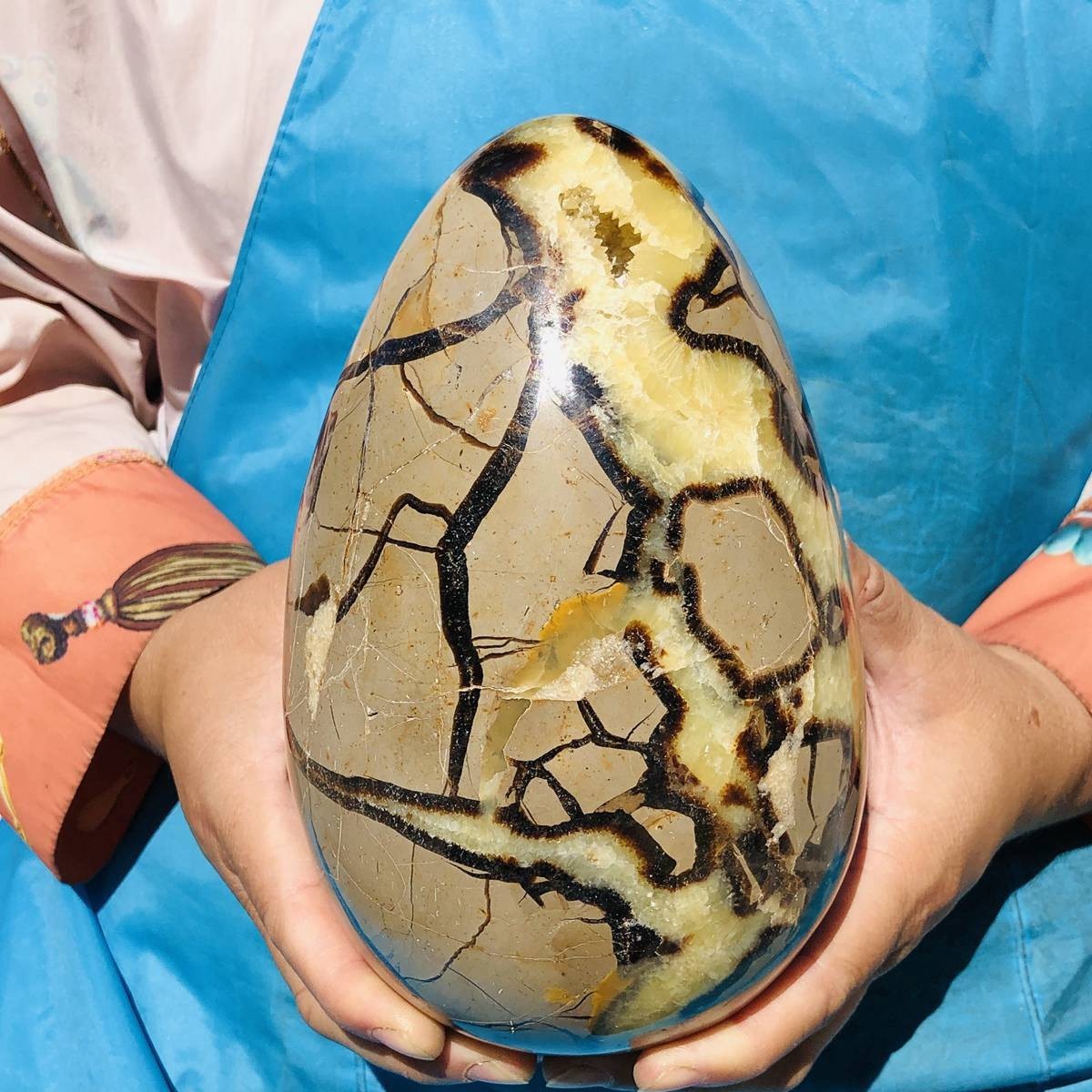 7.45LB Natural Turtle Back Stone Egg Shape Dragon Crystal Crack Healing