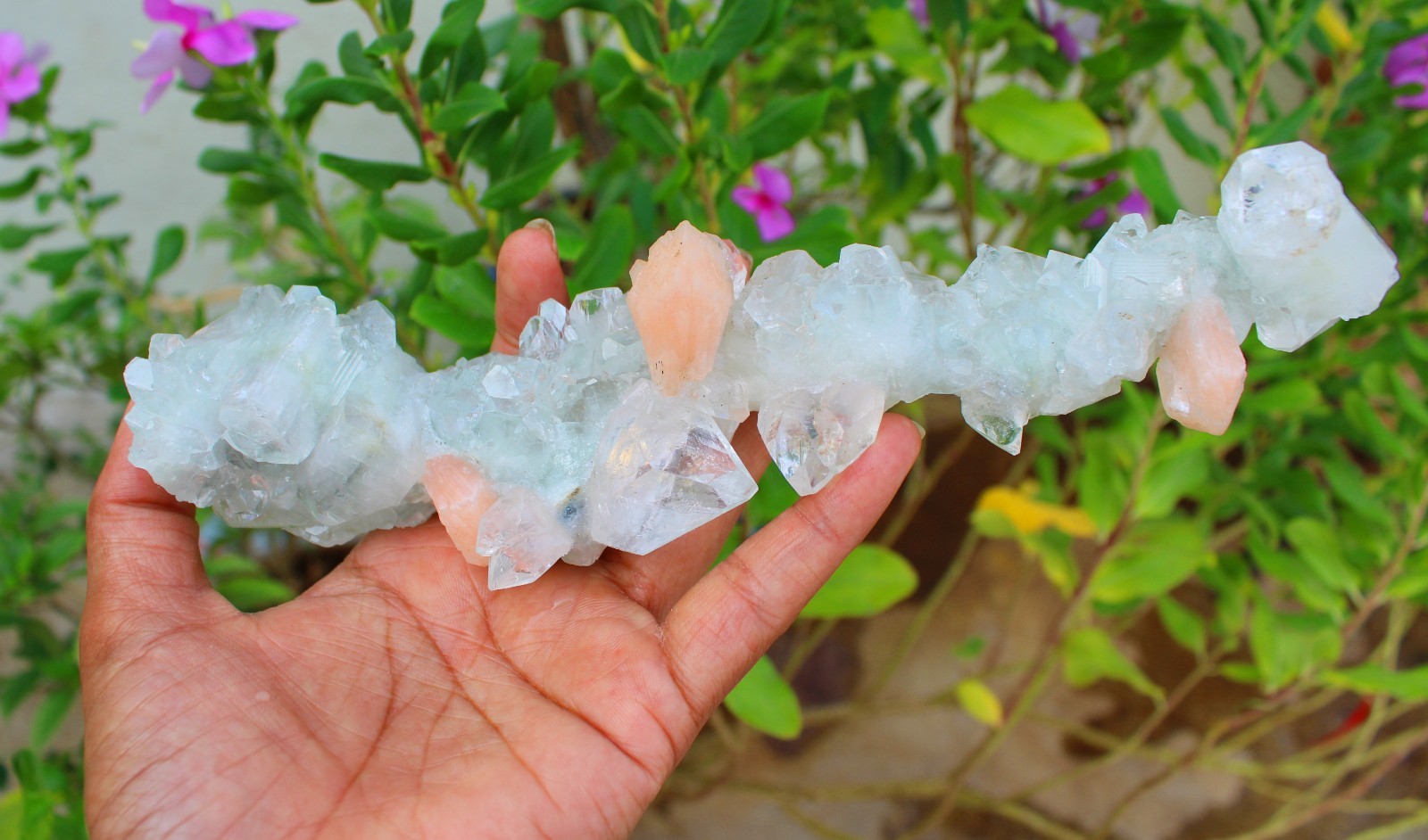 Apophyllite Crystals w/ Stilbite Stalactites Minerals Specimen ( 20X11 ) REPAIR