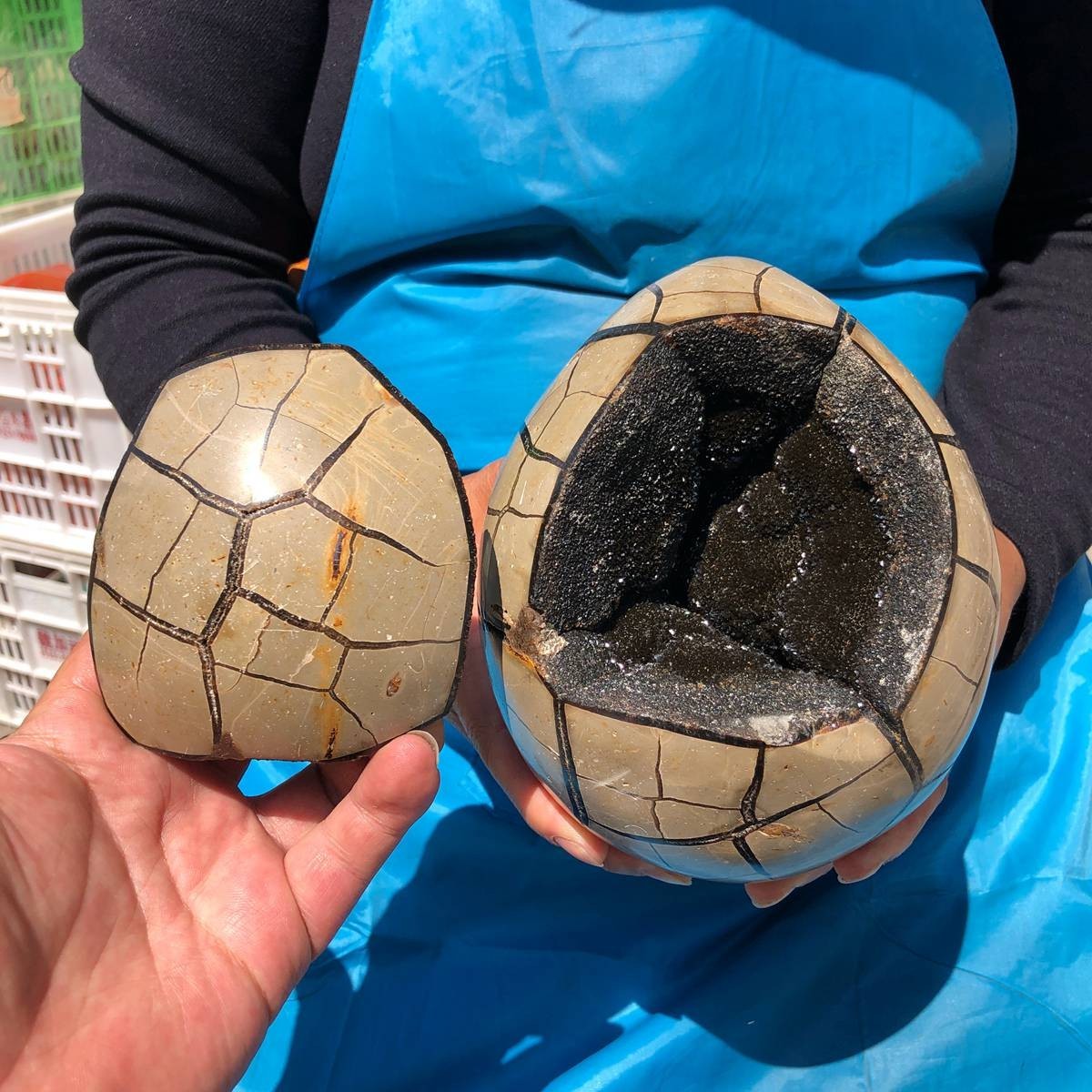 7.5 LB Natural Septarian Turtle Shell Geode Dragon Egg Crystal Healing 4338